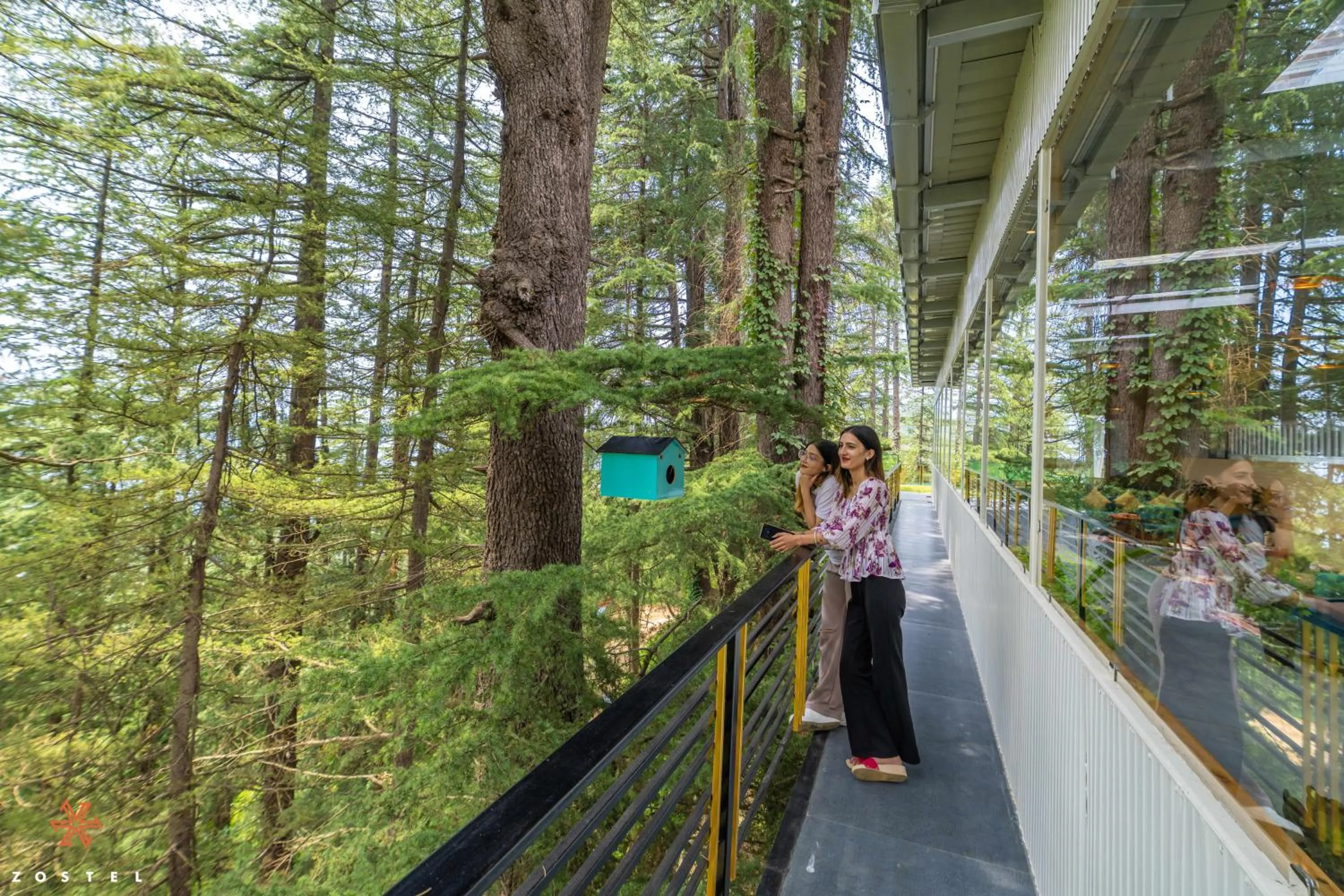 Zostel Kotgarh, Narkanda