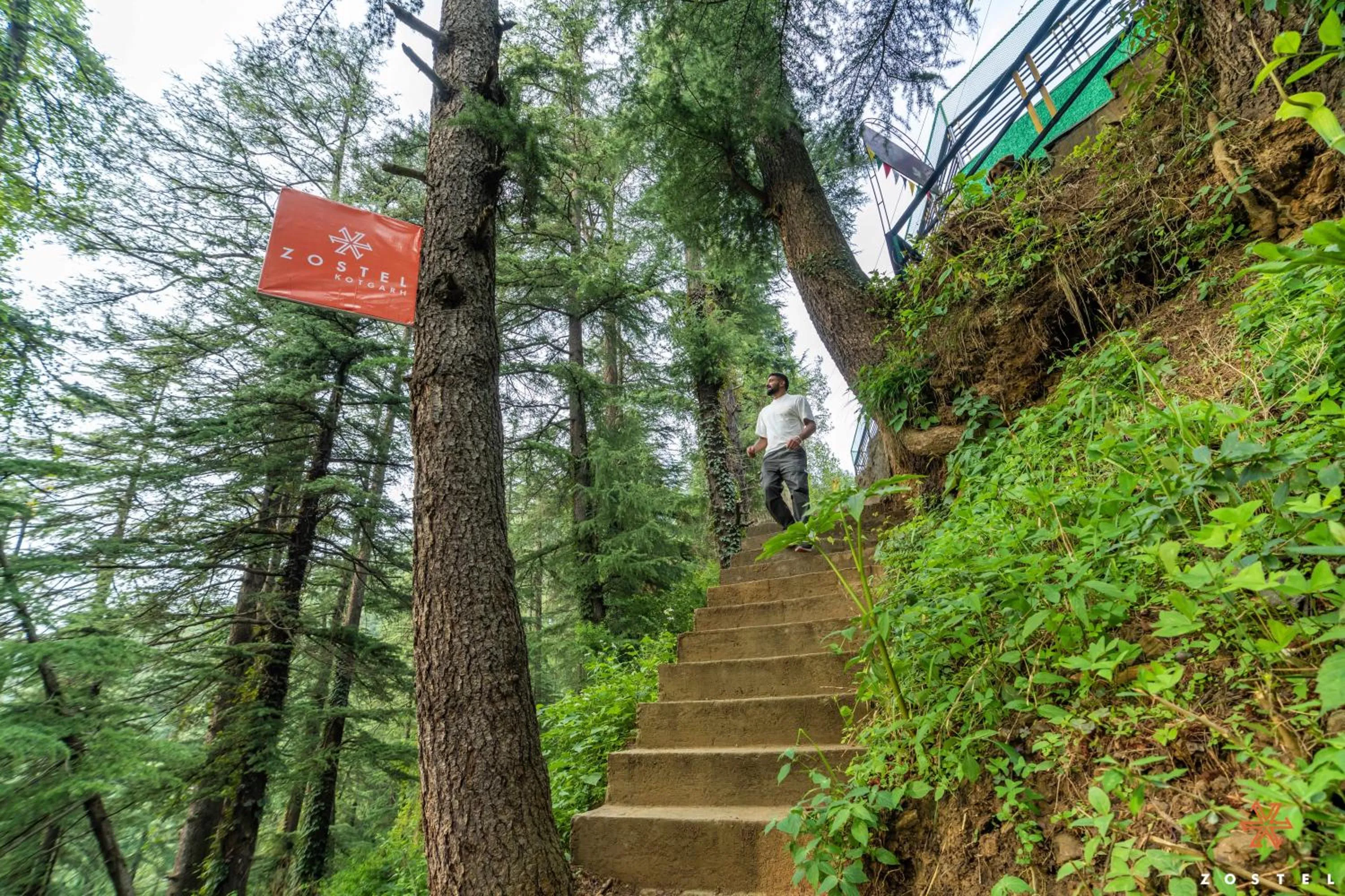 Zostel Kotgarh, Narkanda