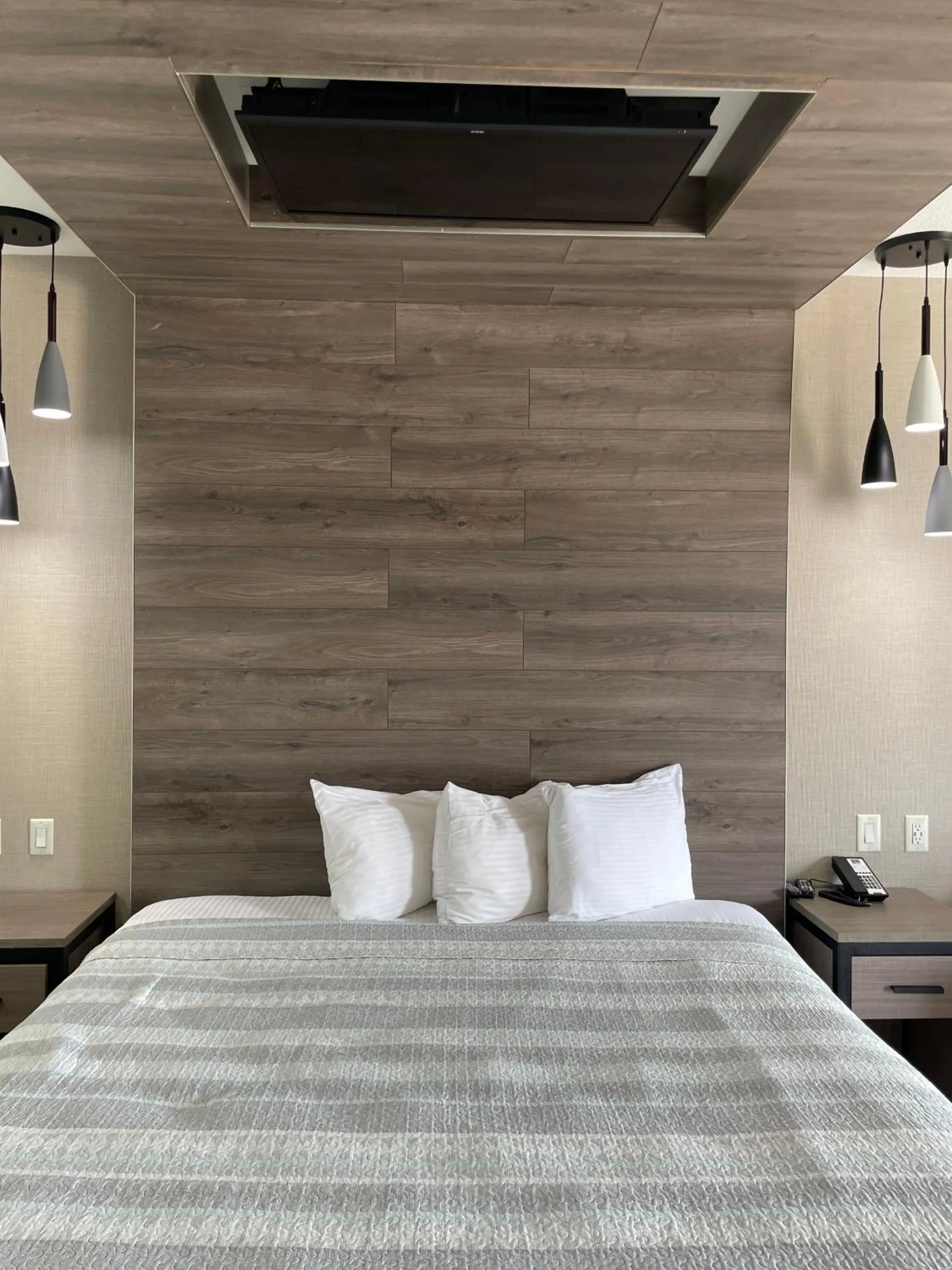 Bed in Express Inn - Richey