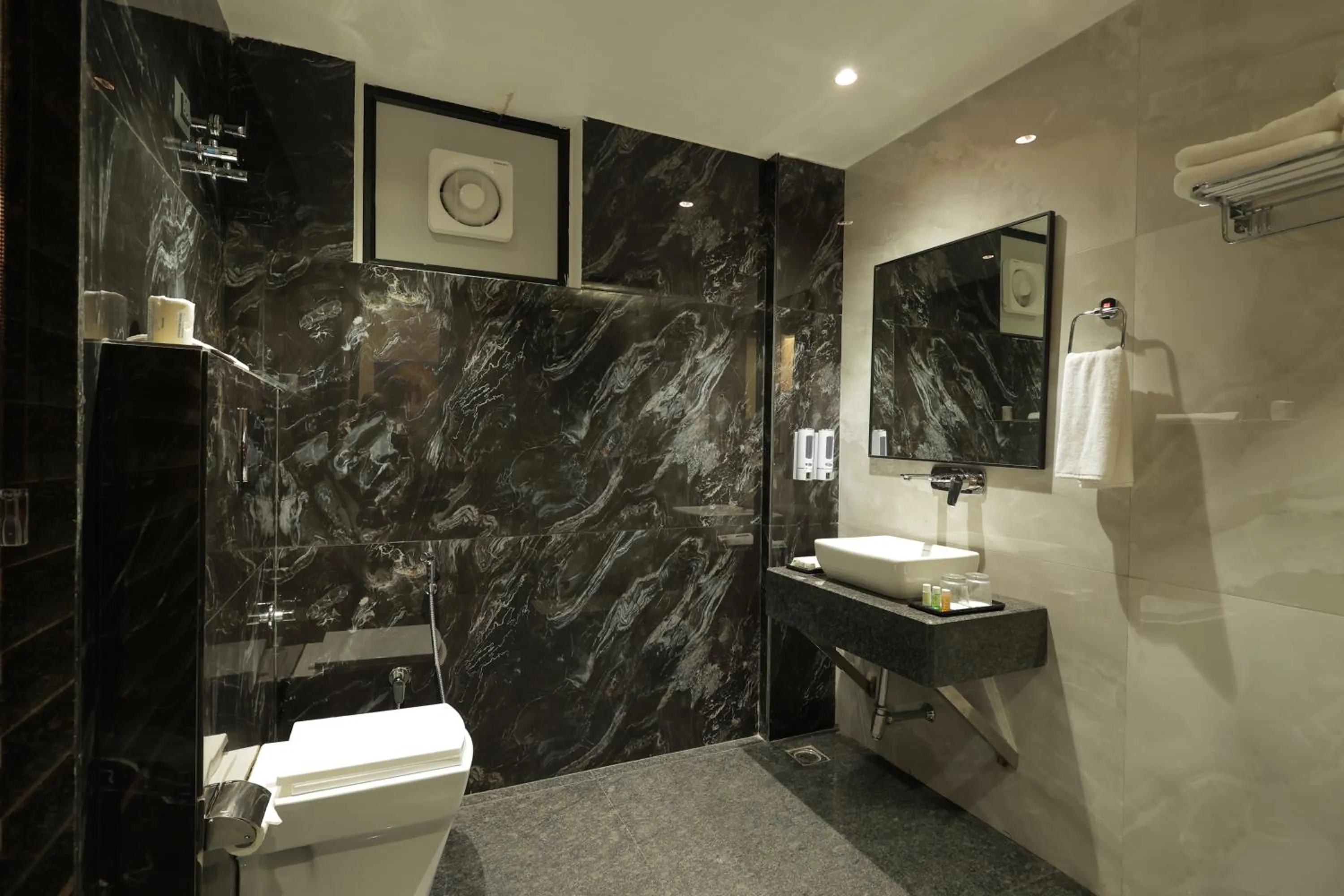 Shower in SNJ Taj Grand