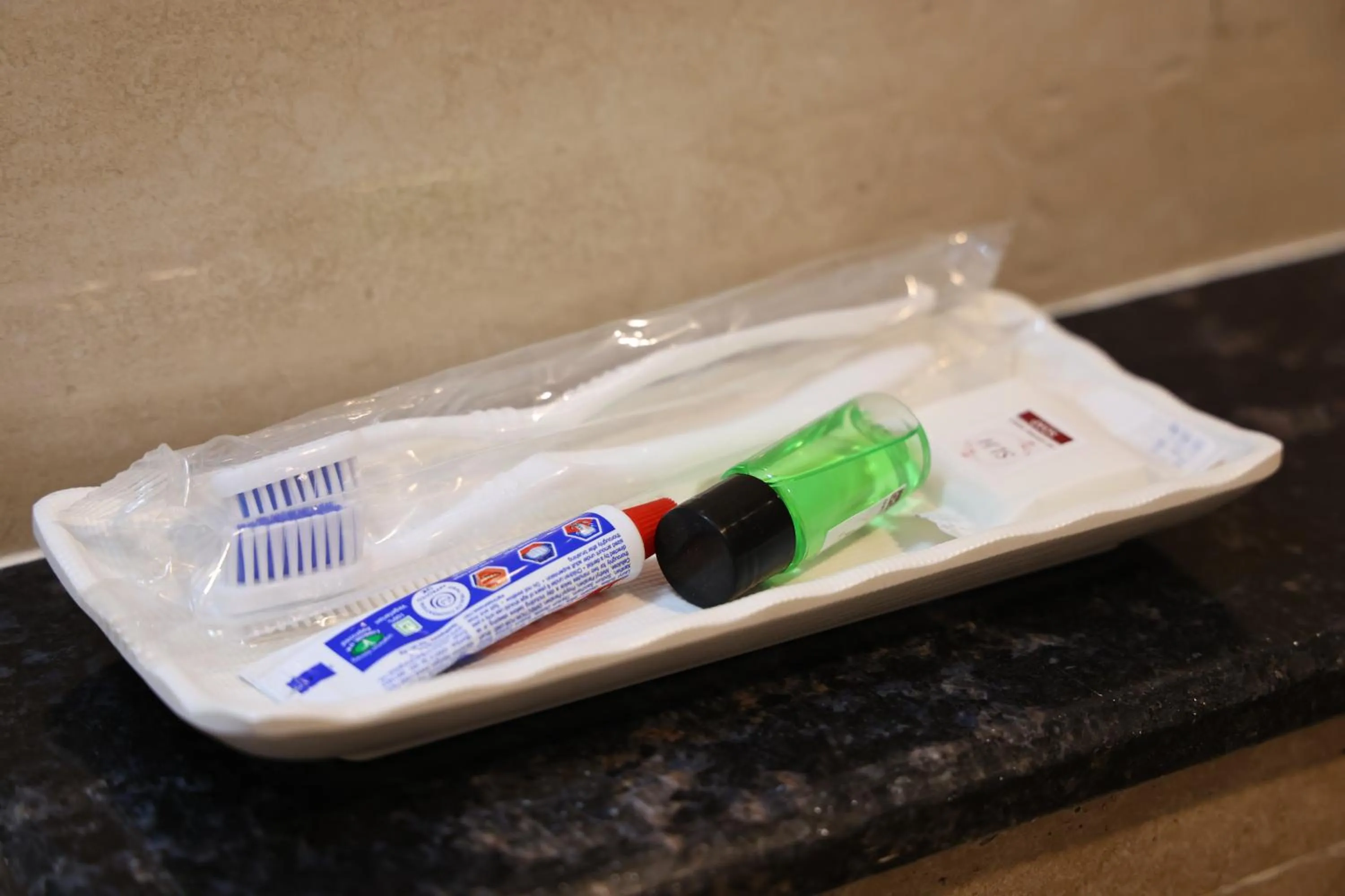 Facility for disabled guests in Vibha by Sri Lakshmi Homes