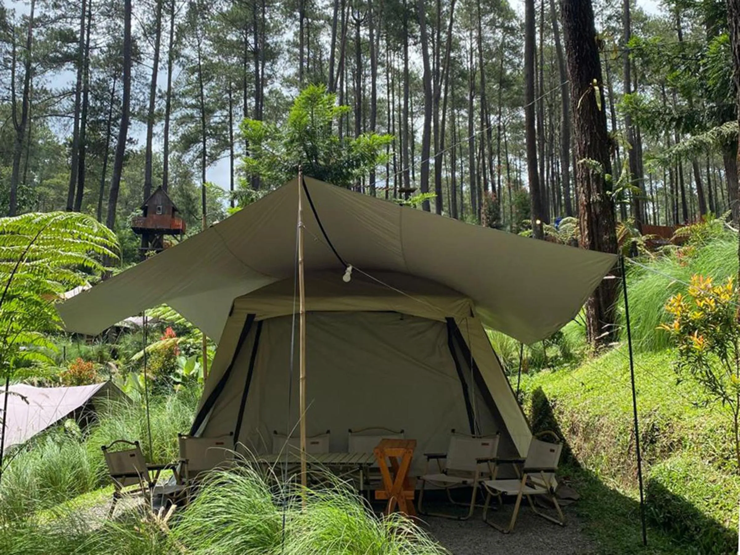 View (from property/room) in corak alam glamping