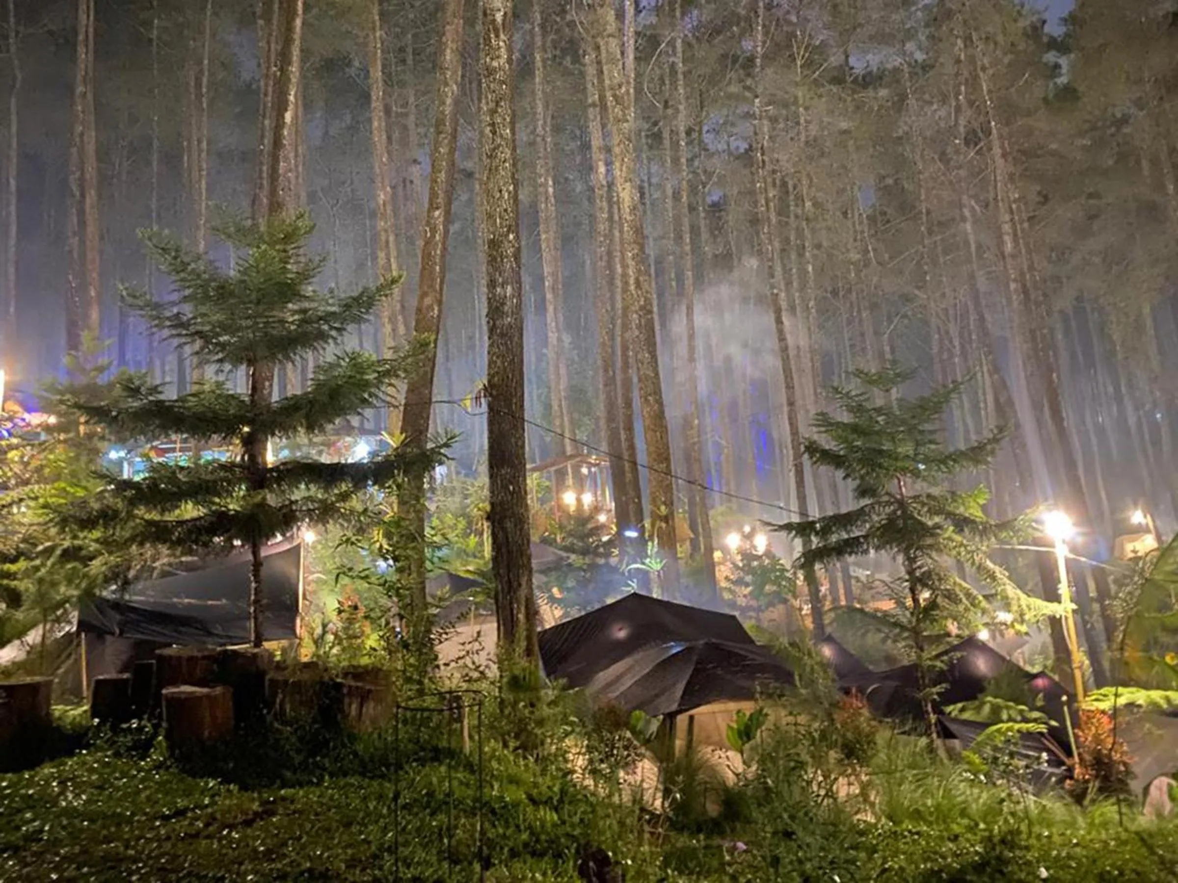 Natural landscape in corak alam glamping