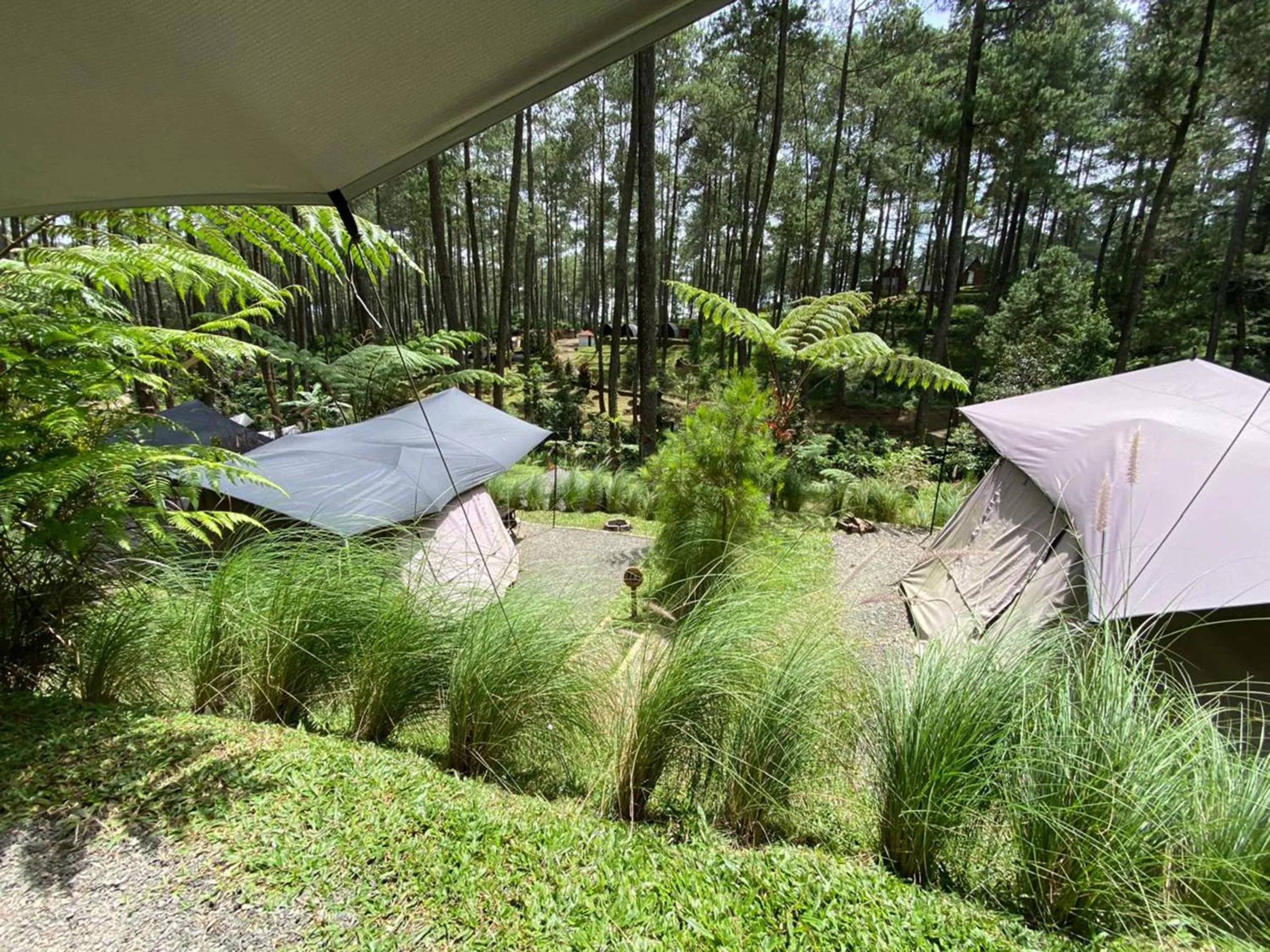Natural landscape in corak alam glamping