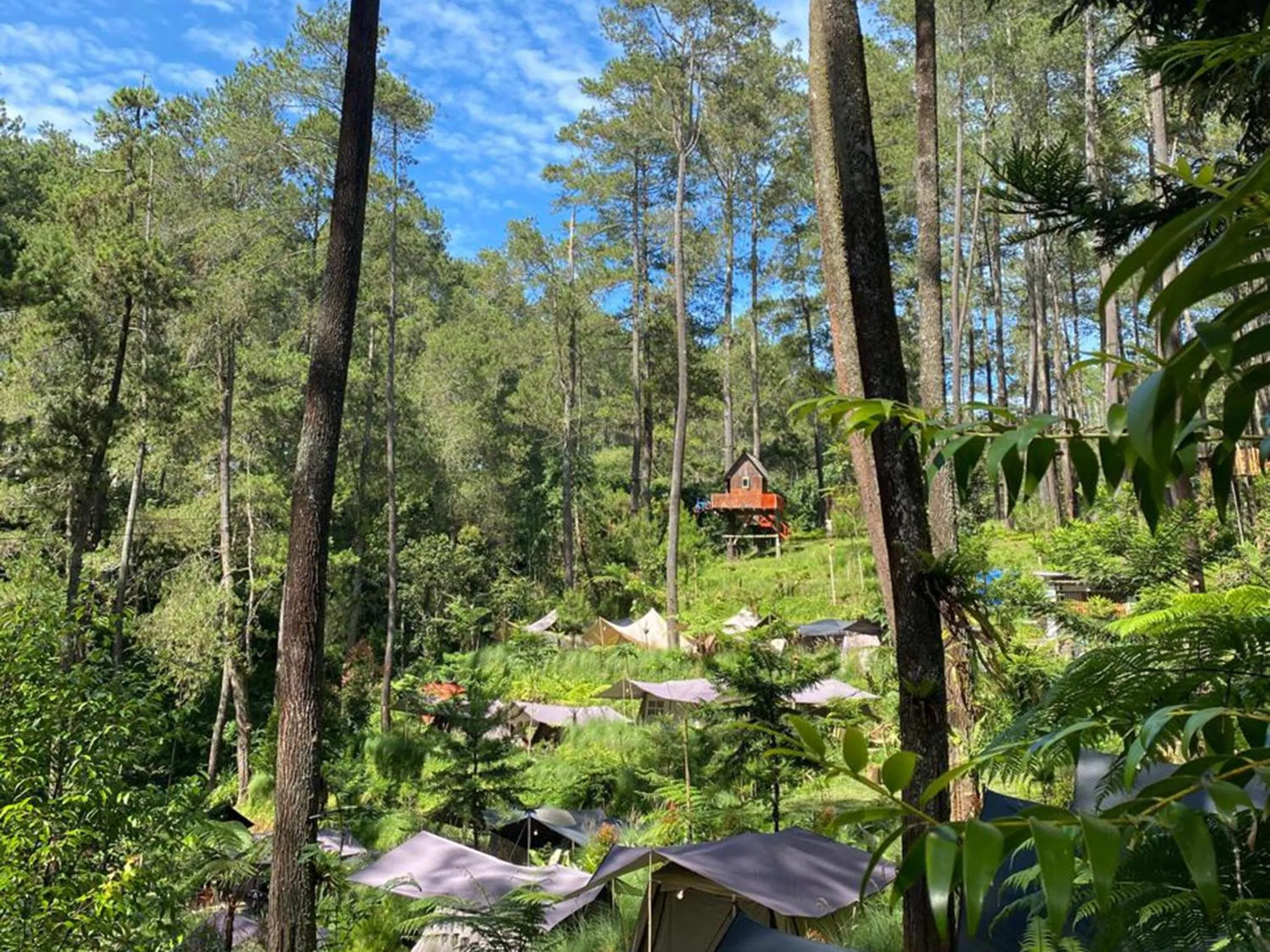 Natural landscape in corak alam glamping