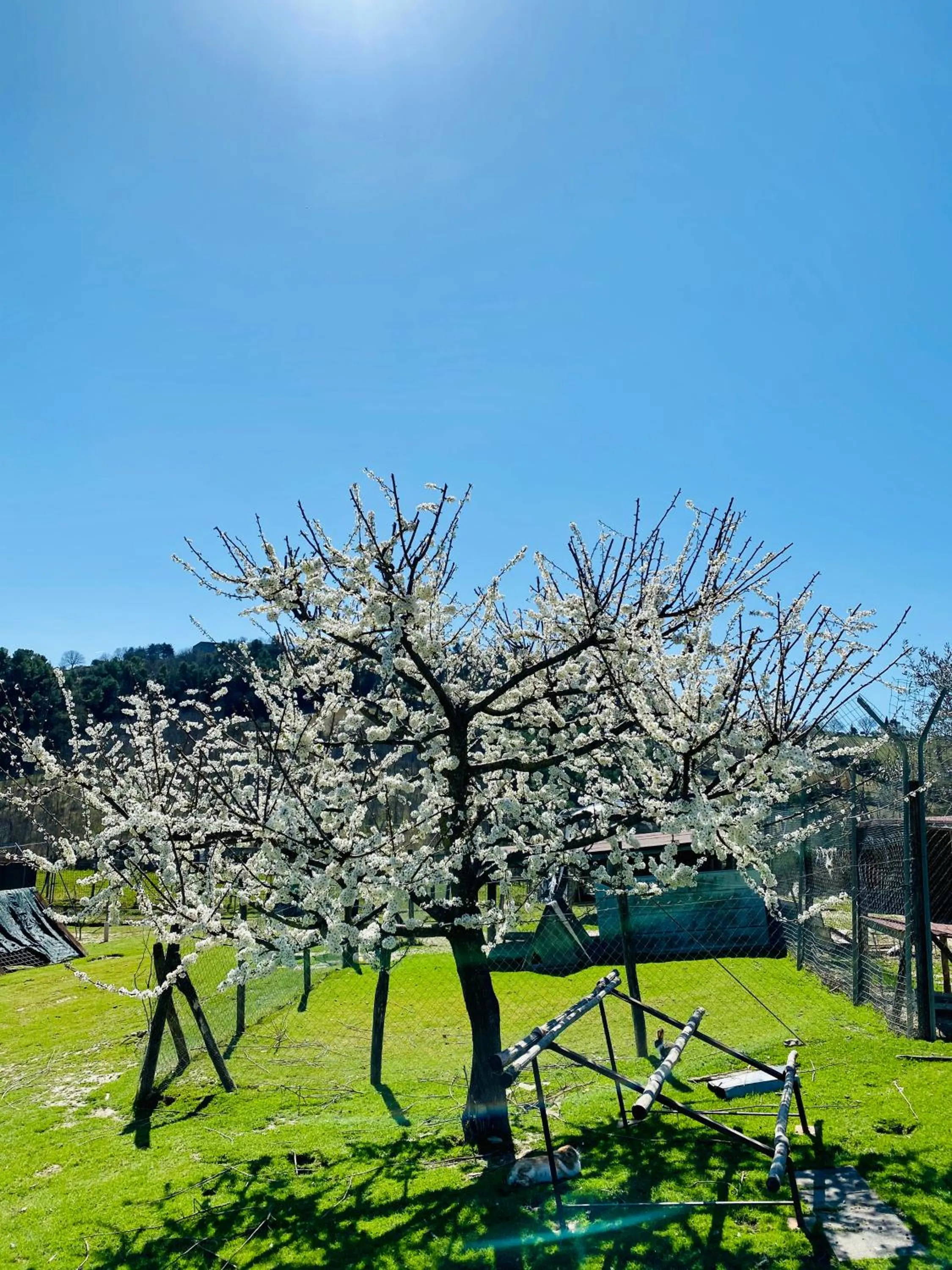 Spring in Agriturismo AgrileisureTime