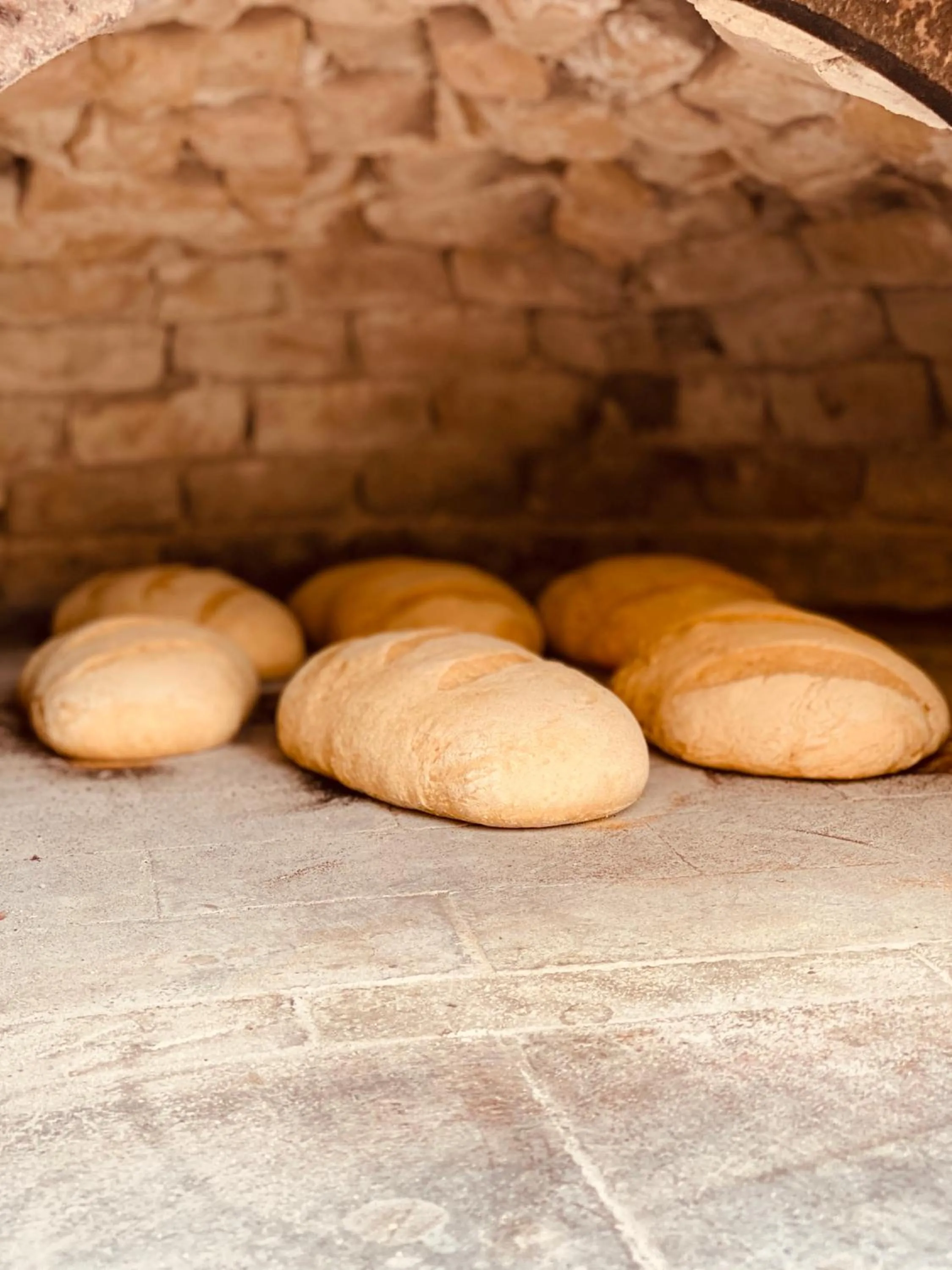 Food in Agriturismo AgrileisureTime