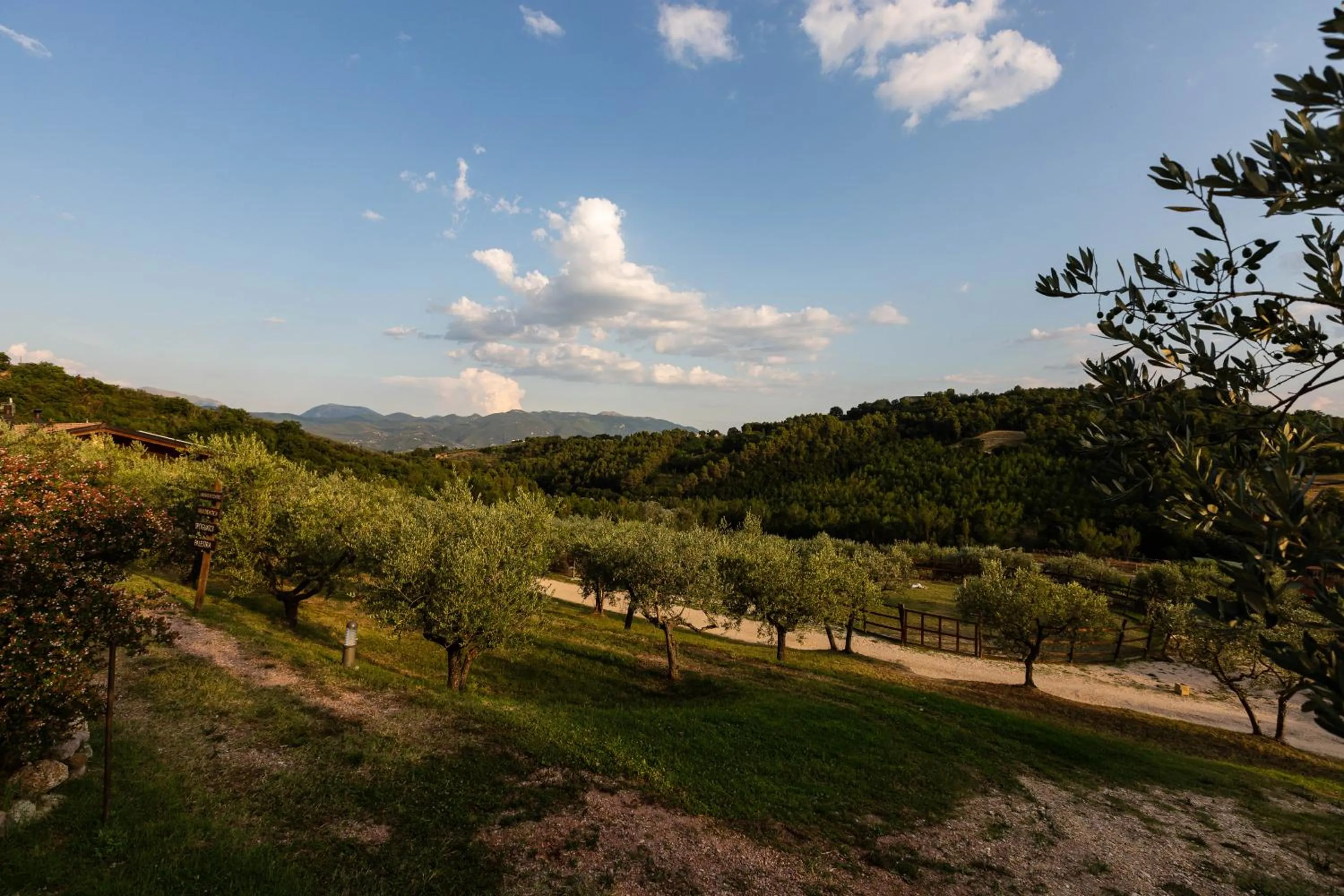 Natural landscape in Agriturismo AgrileisureTime