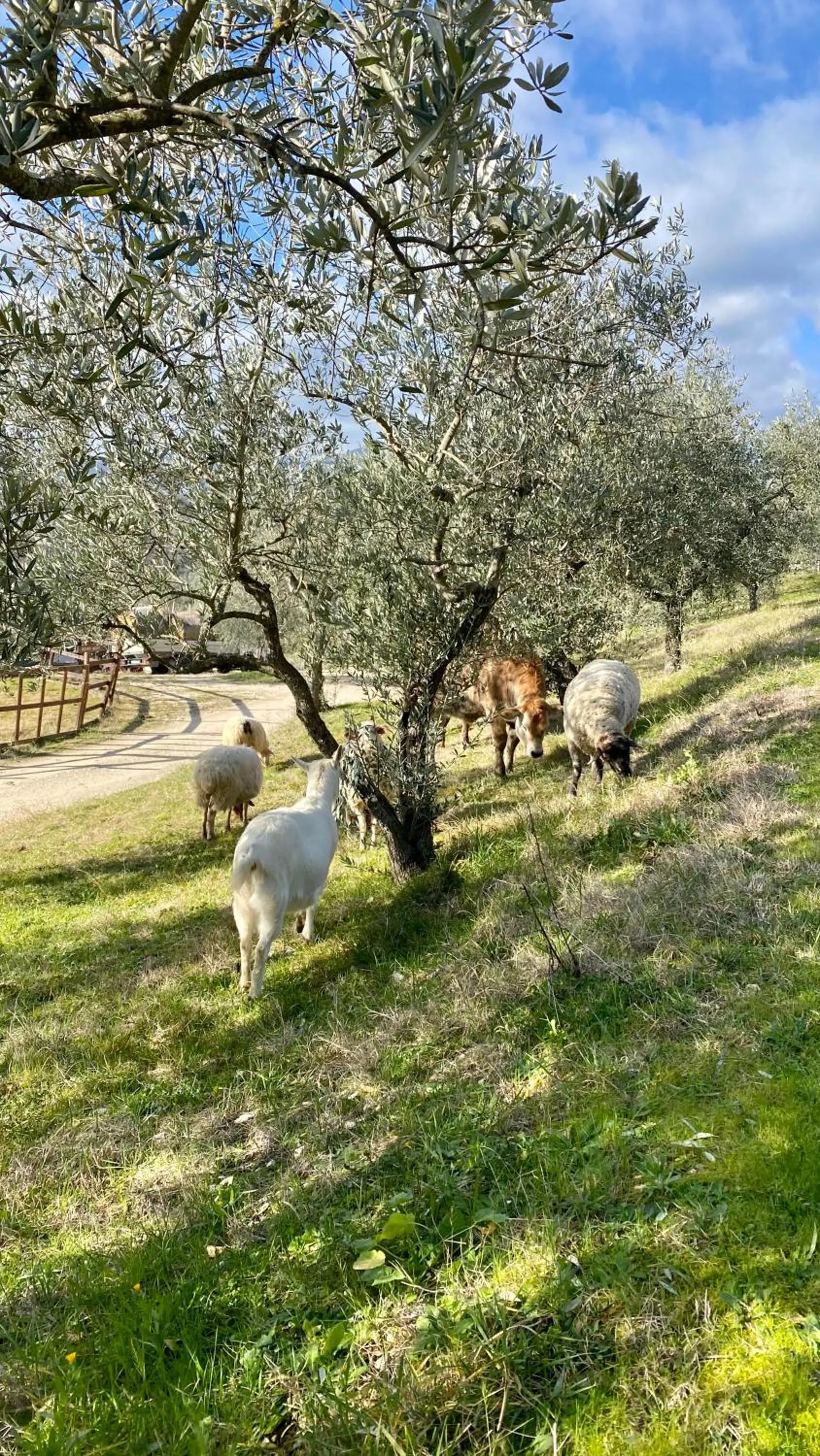 Natural landscape in Agriturismo AgrileisureTime