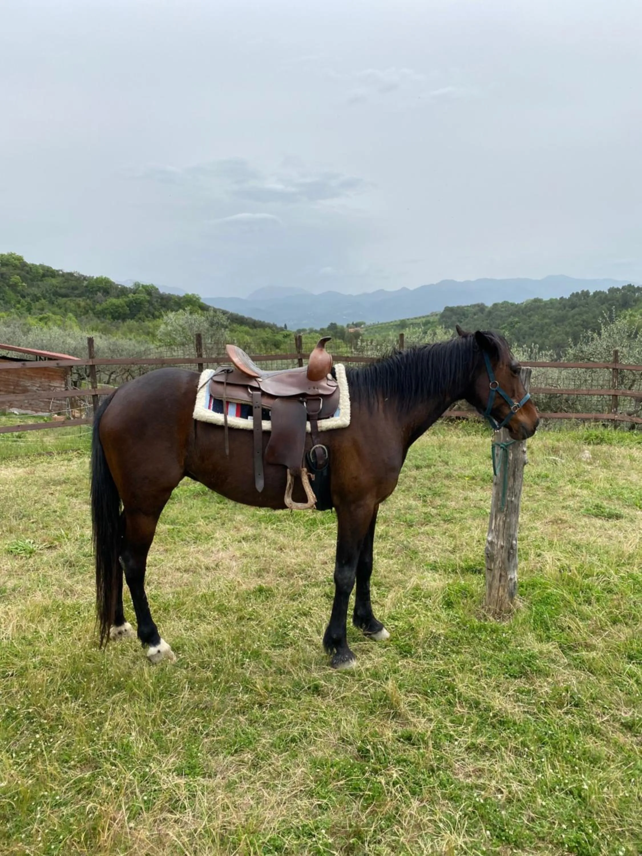 Horse-riding in Agriturismo AgrileisureTime