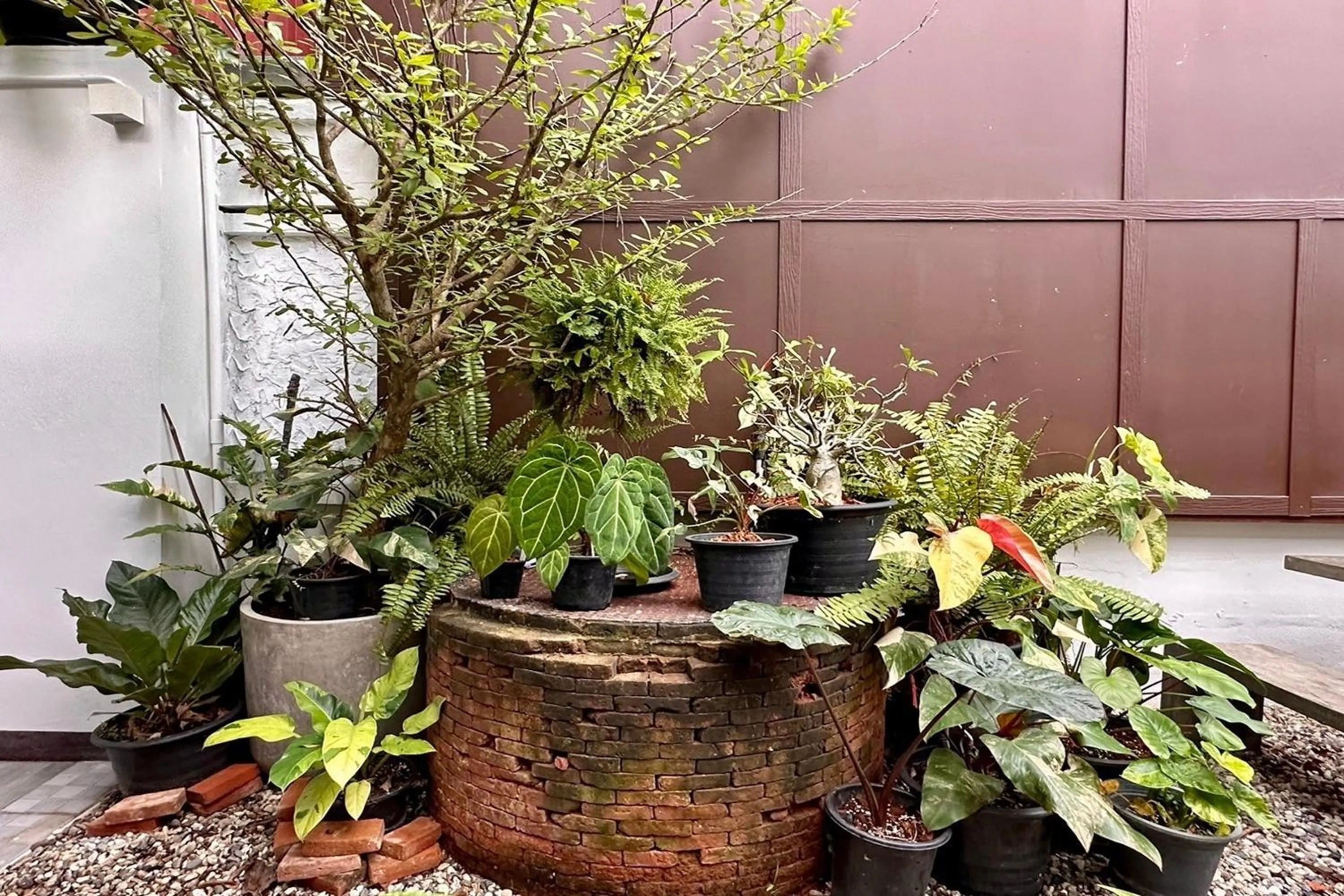 Garden in Nuan Nil Secret Courtyard