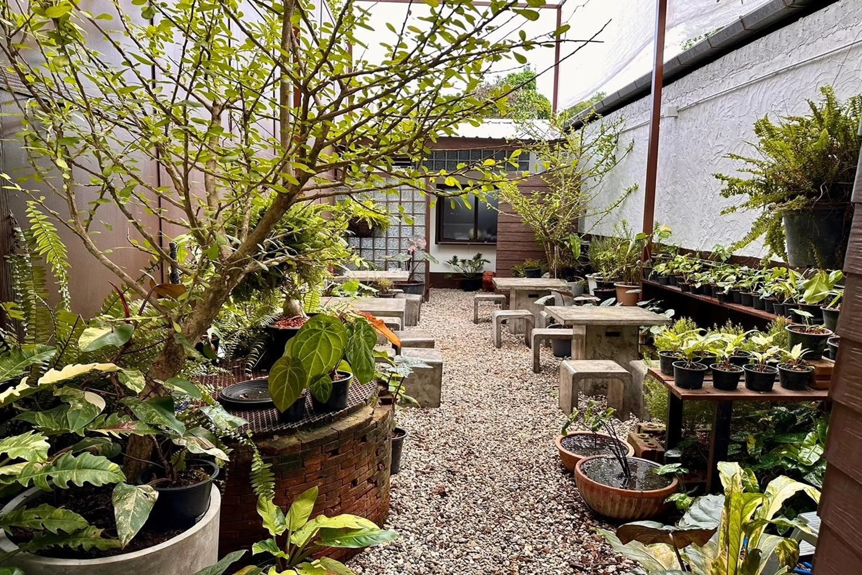 Garden in Nuan Nil Secret Courtyard