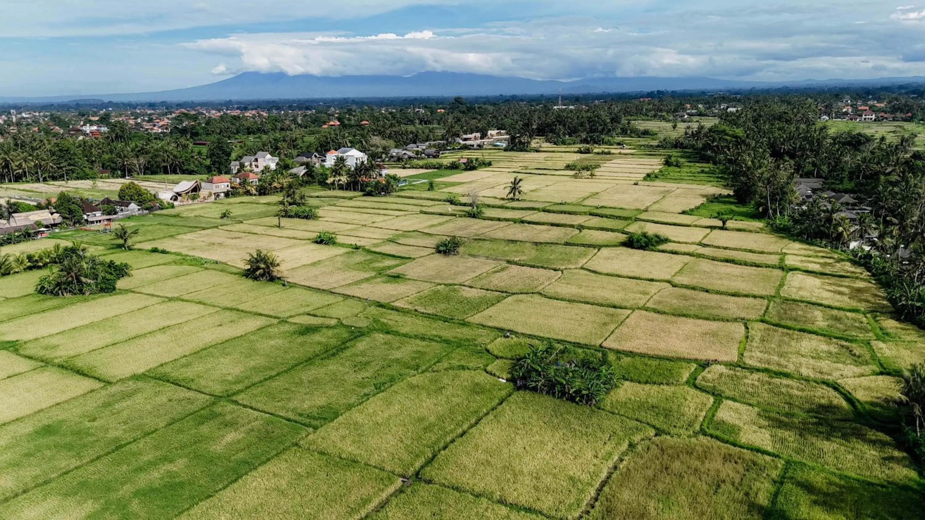 Area and facilities in Weda Villas