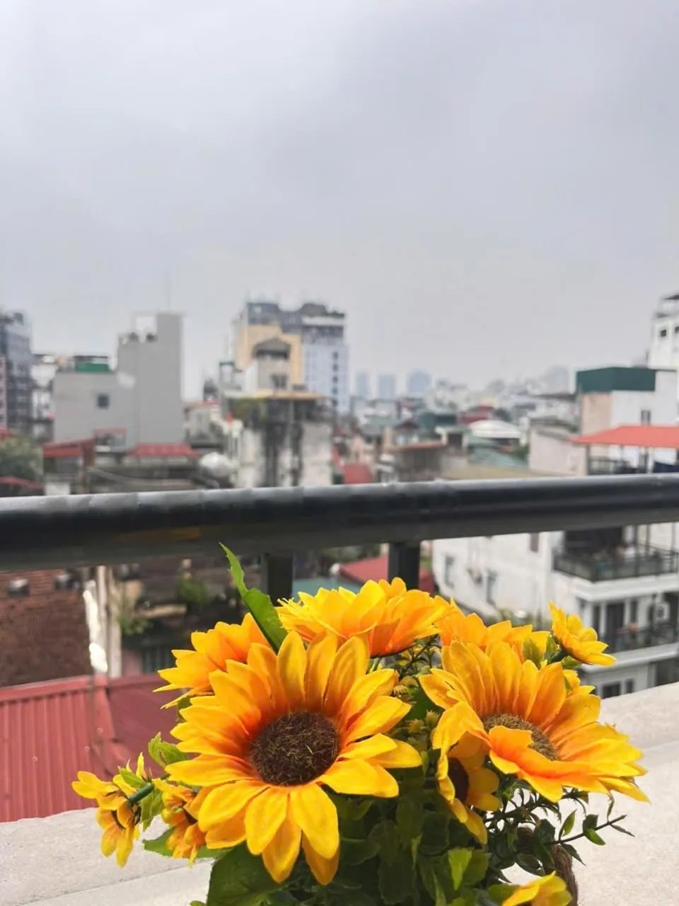 Day in Okaeri Homestay