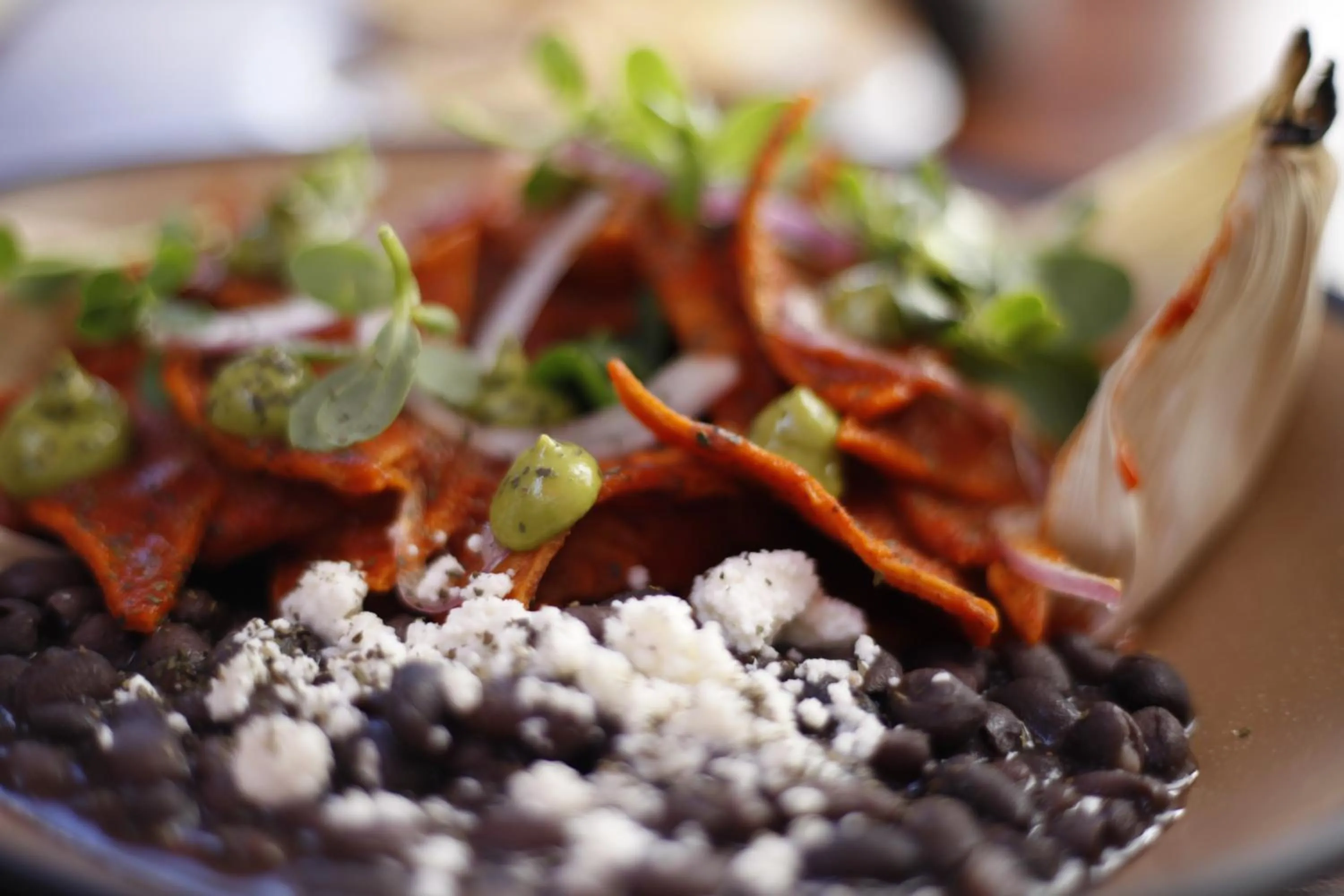 Te Amo Hotel Boutique