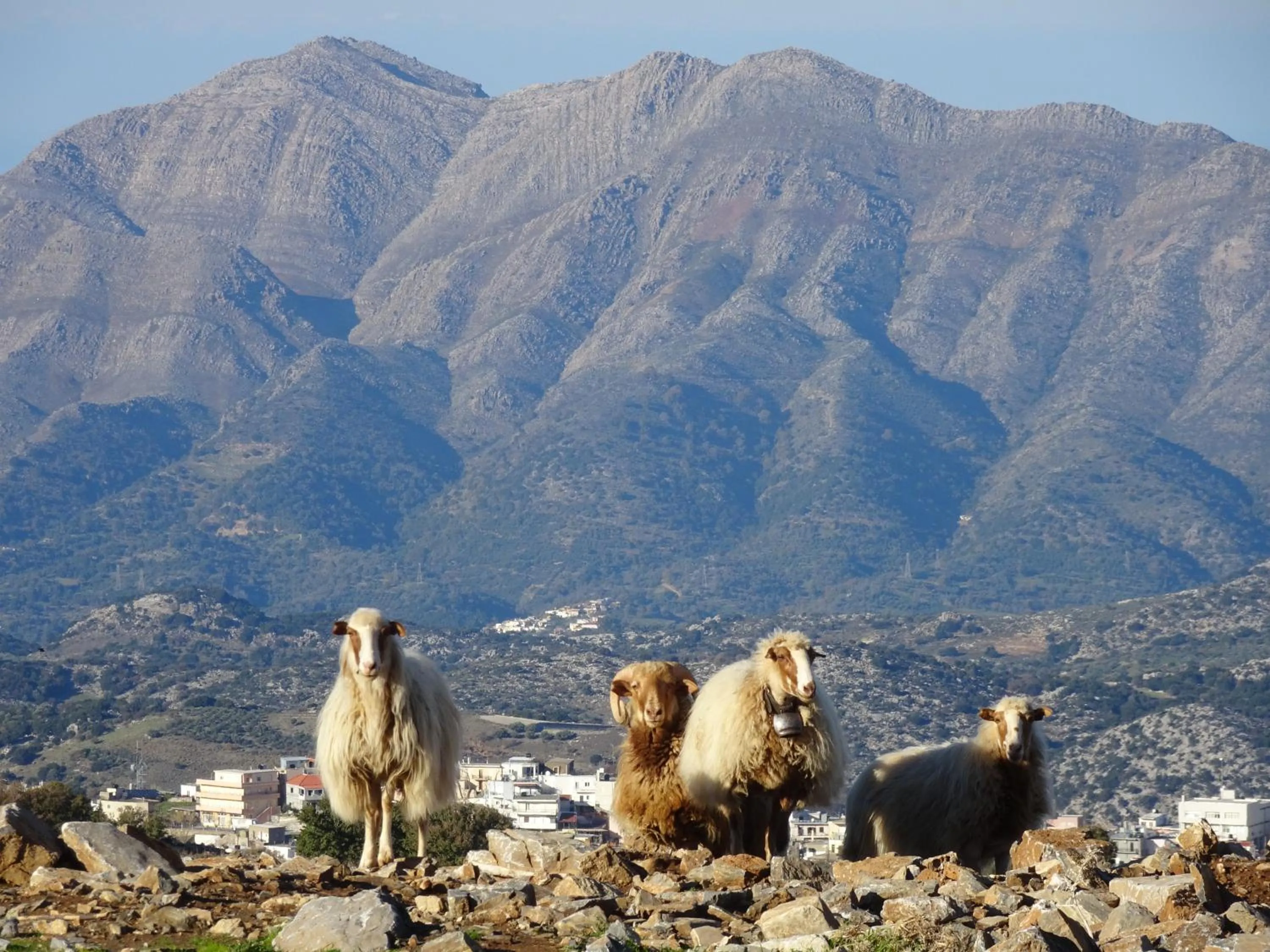 Mountain view in Delina Mountain Resort