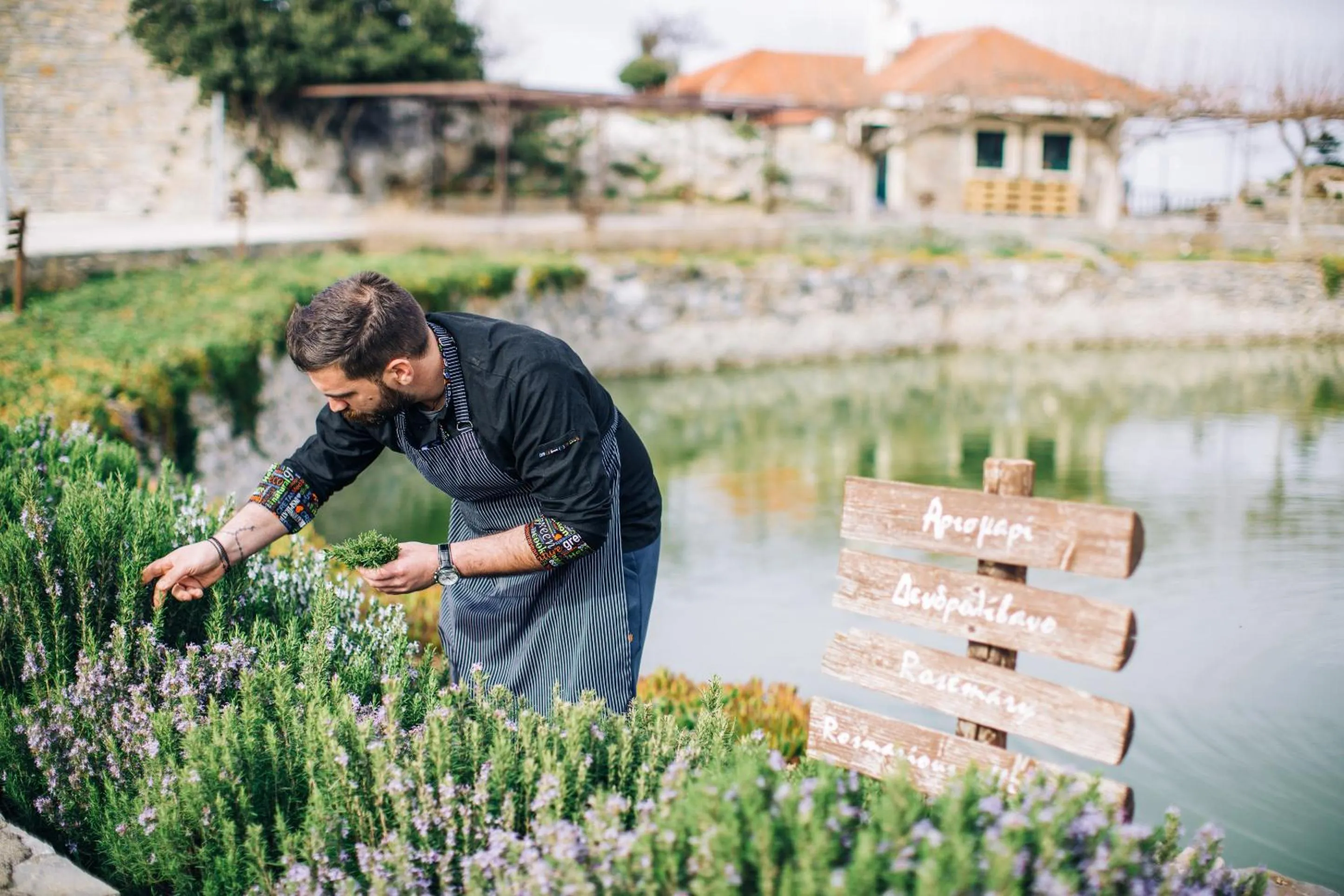 Garden in Delina Mountain Resort