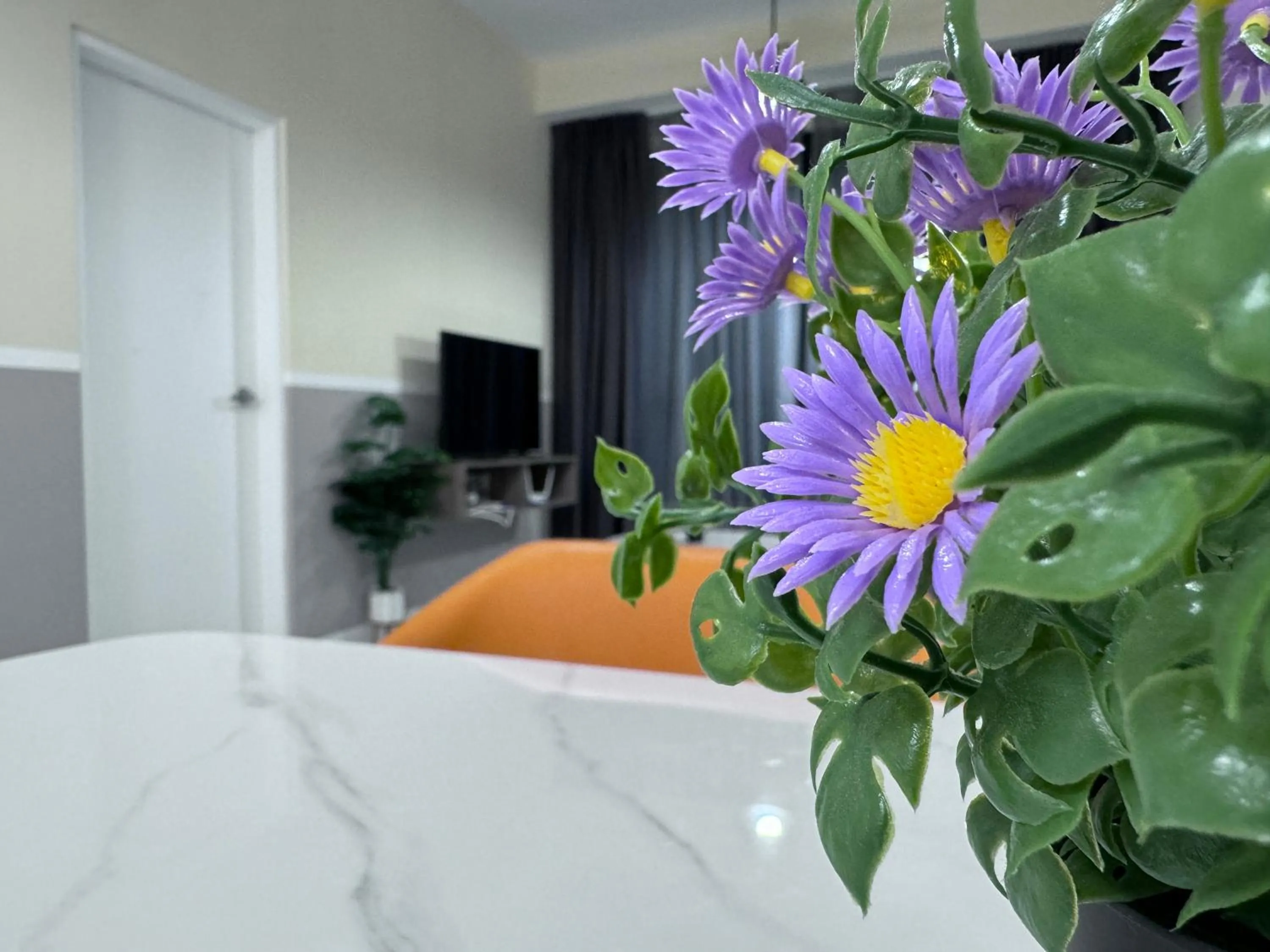 Cubic Botanical by ANCUBIC, Bangsar South, KL by HomeTaric