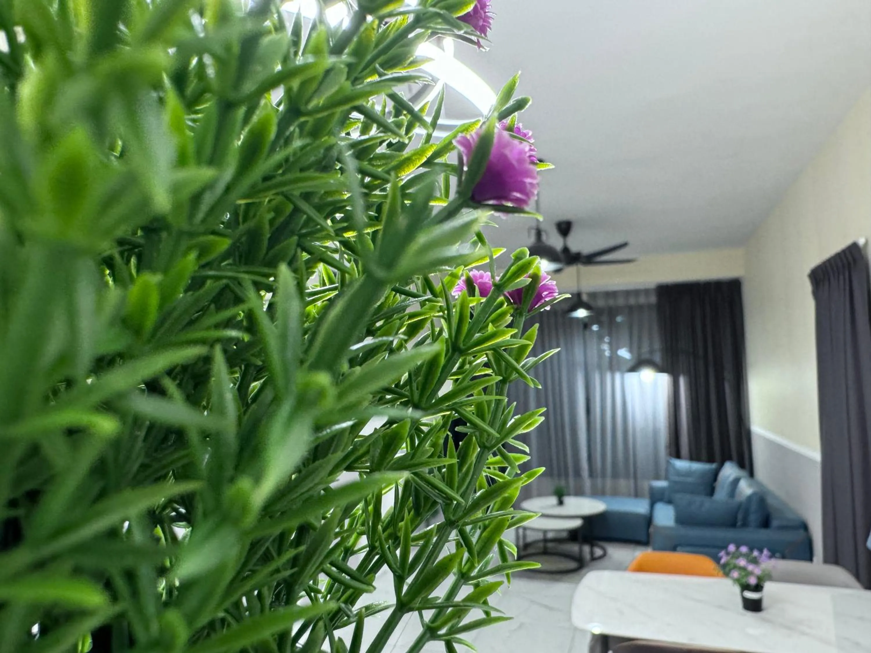 Cubic Botanical by ANCUBIC, Bangsar South, KL by HomeTaric