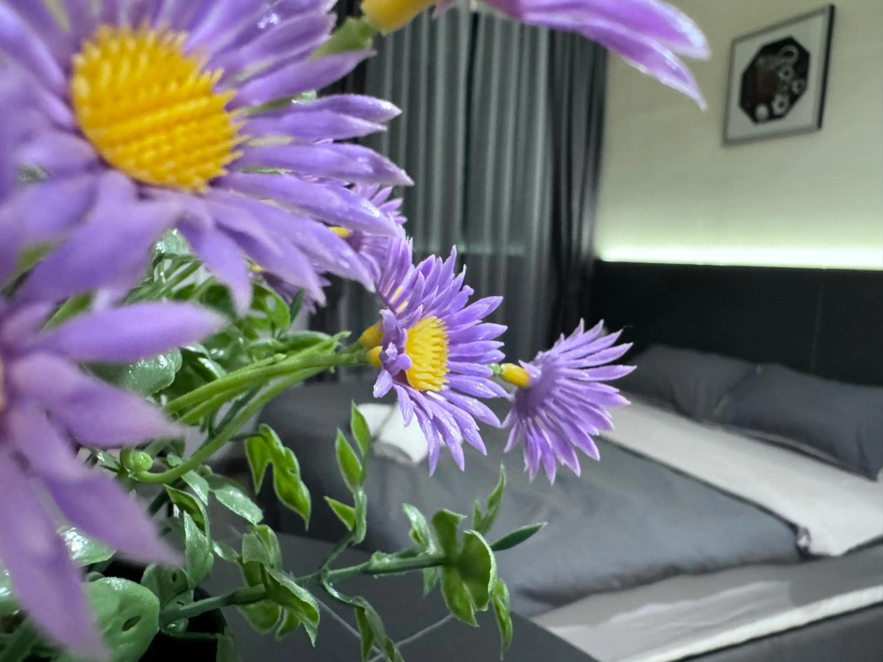 Bed in Cubic Botanical by ANCUBIC, Bangsar South, KL by HomeTaric