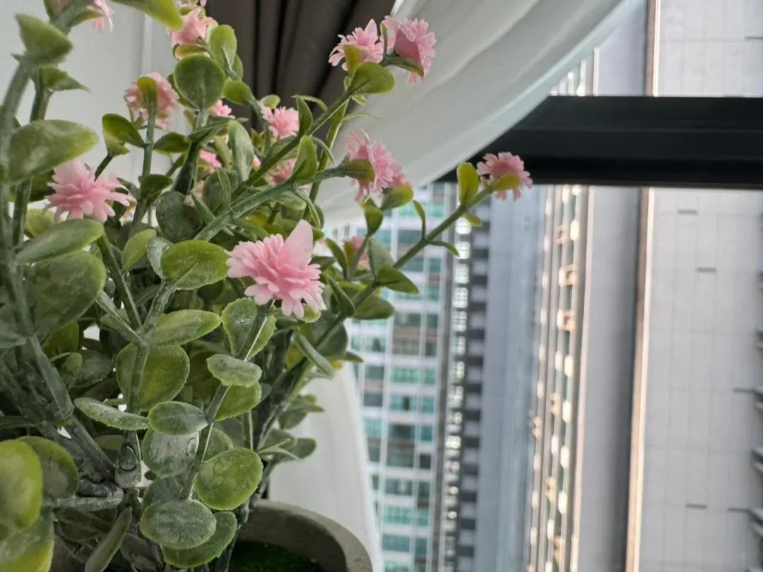 Cubic Botanical by ANCUBIC, Bangsar South, KL by HomeTaric