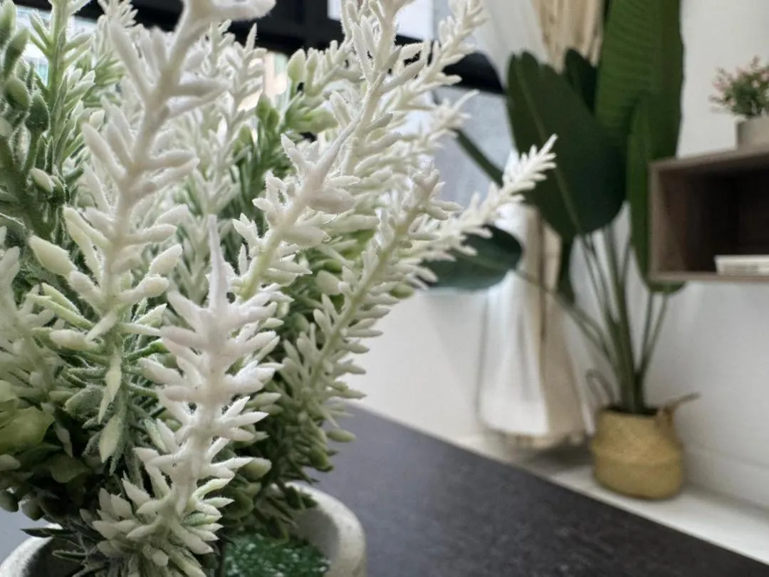 Cubic Botanical by ANCUBIC, Bangsar South, KL by HomeTaric