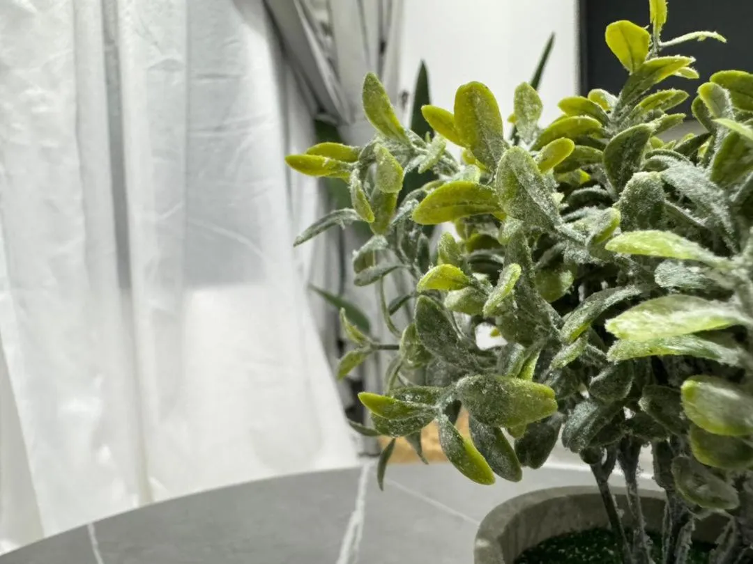 Cubic Botanical by ANCUBIC, Bangsar South, KL by HomeTaric