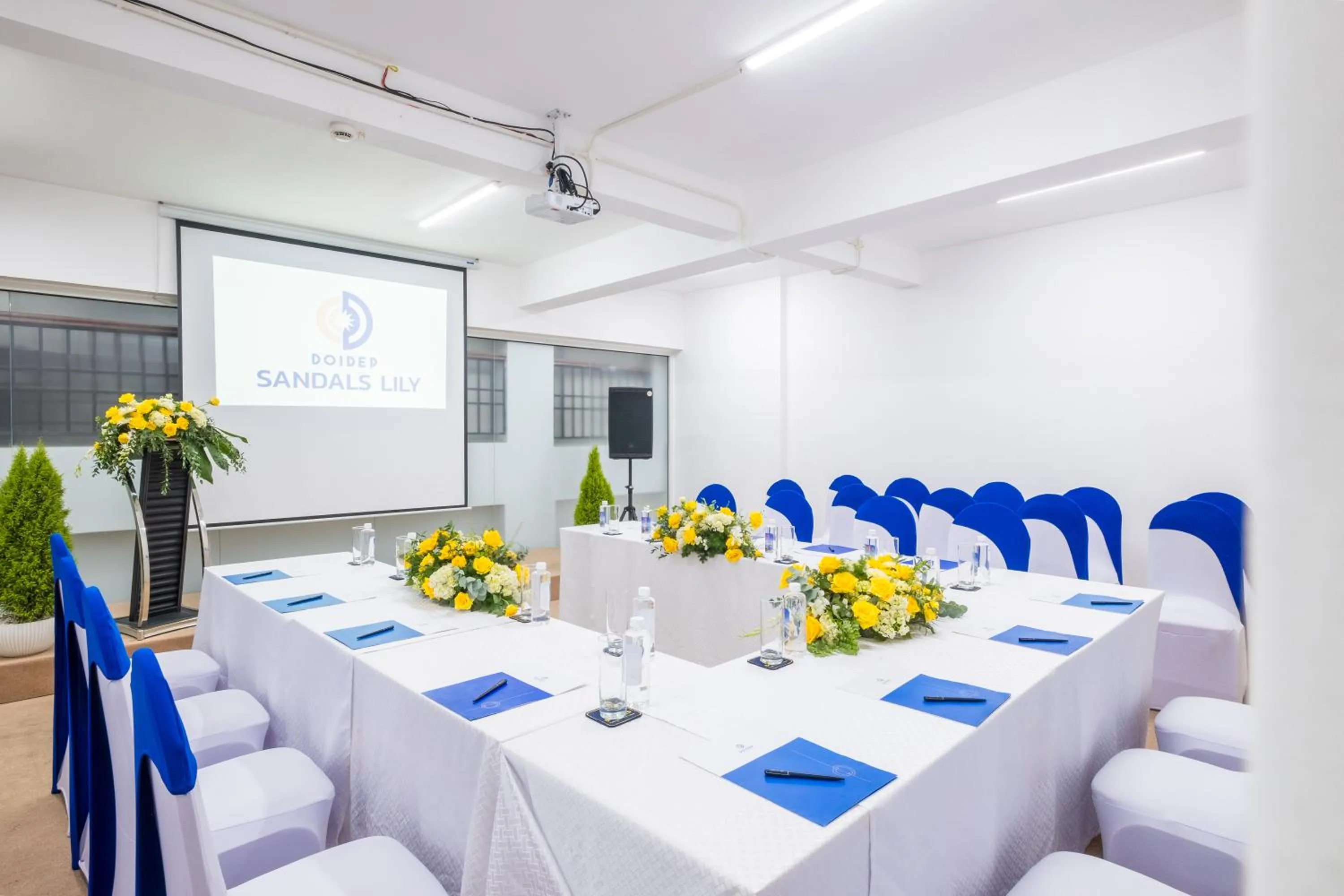 Business facilities in Sandals Lily Hotel