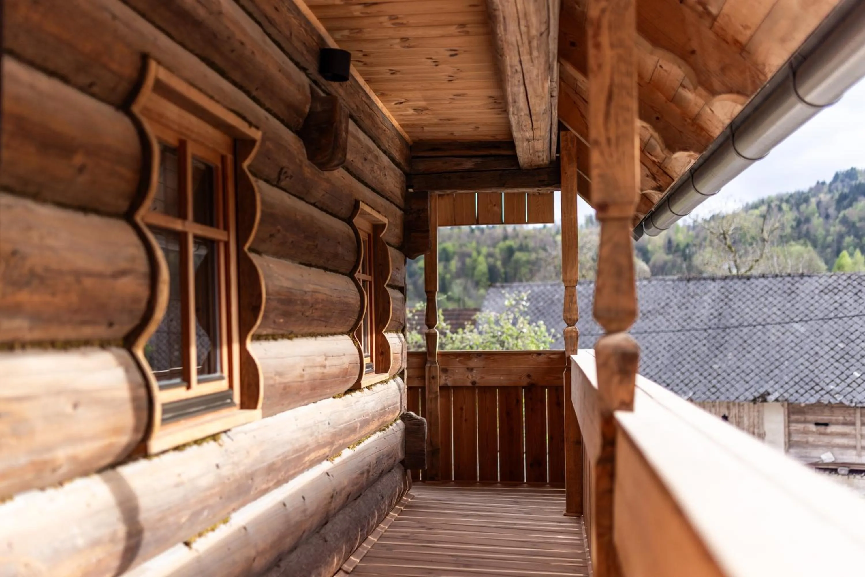 View (from property/room) in Hotel Julian Alps