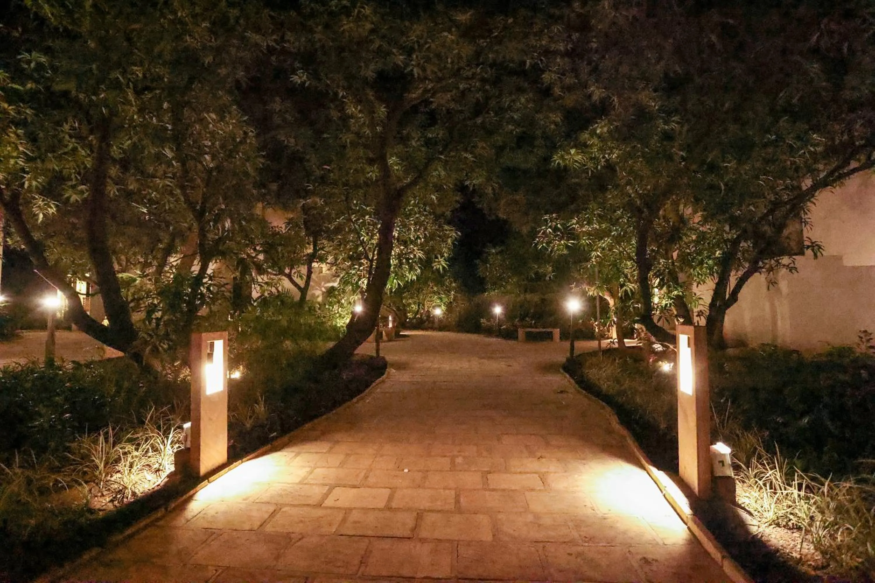 Night in Le Casa Lion Resort A Premium Resort In Sasan Gir