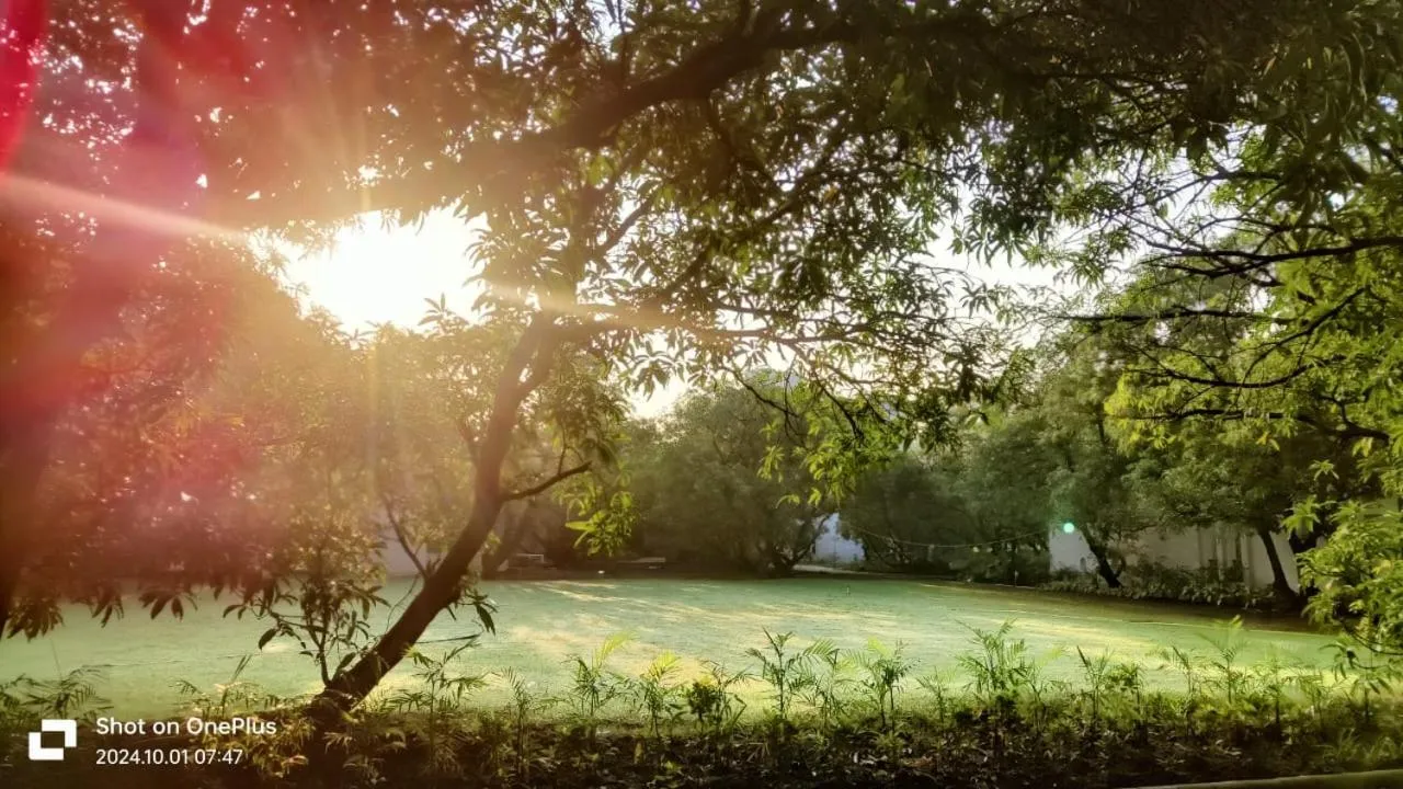 Garden in Le Casa Lion Resort A Premium Resort In Sasan Gir