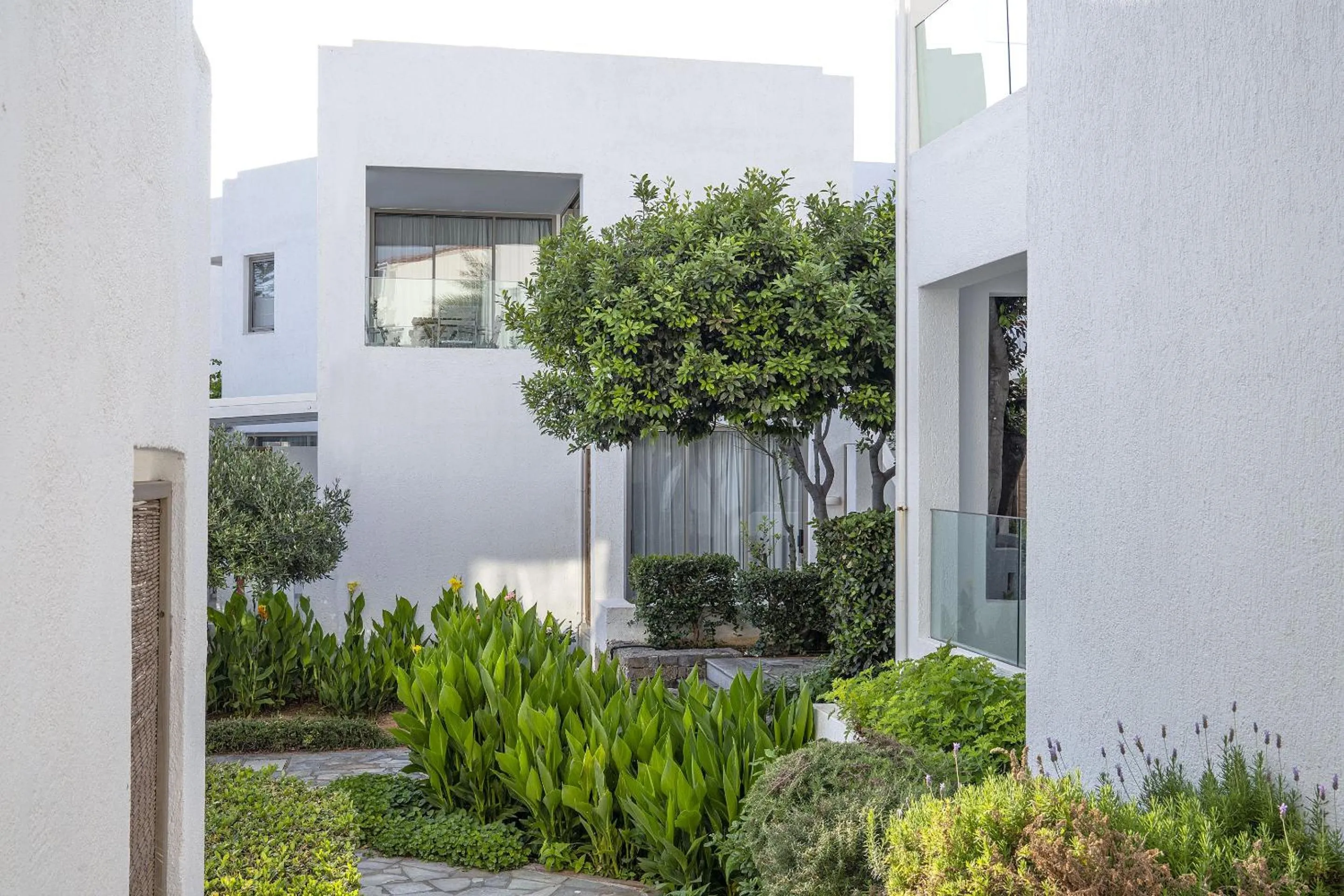 Garden in Maritimo Beach Hotel