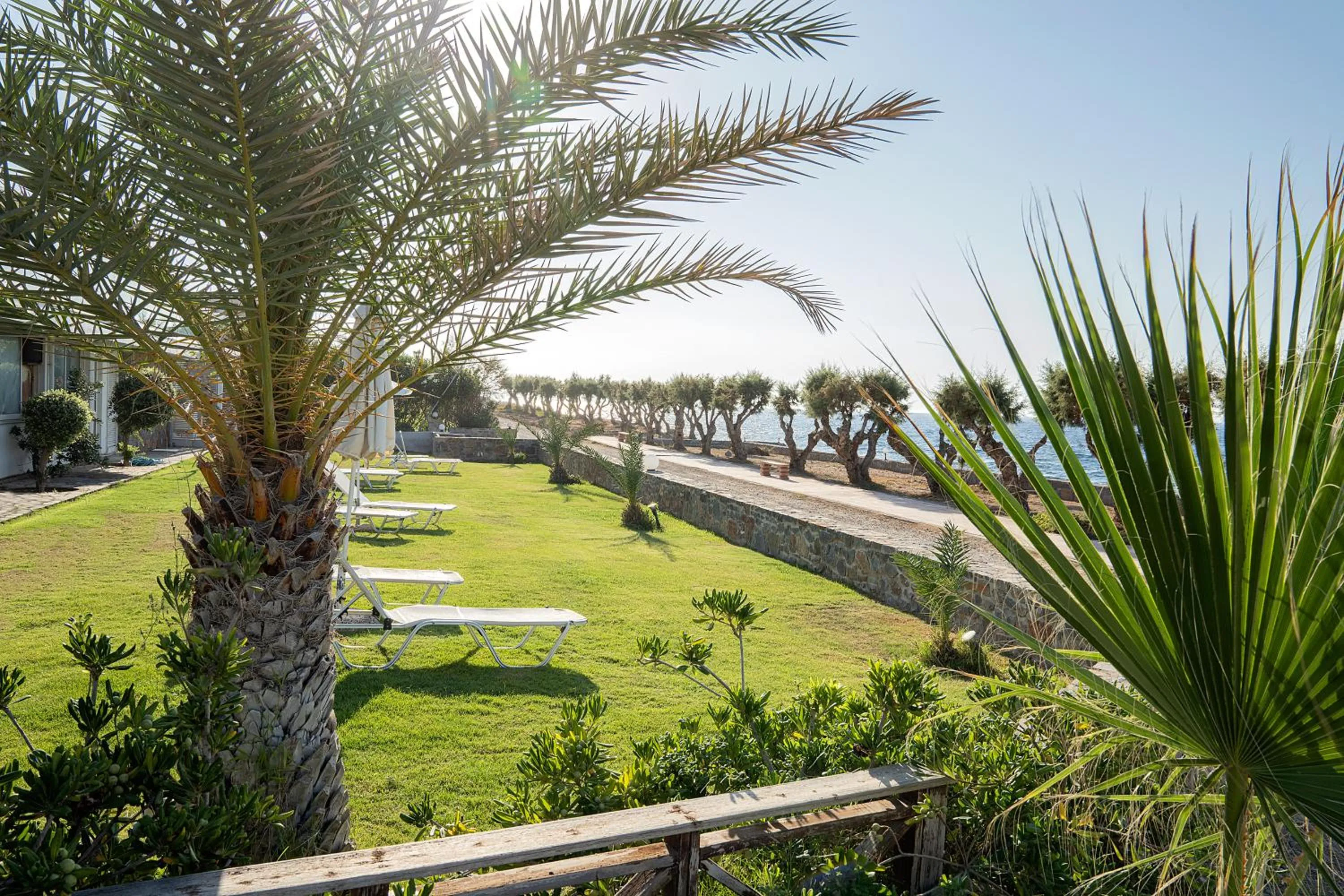 Garden in Maritimo Beach Hotel