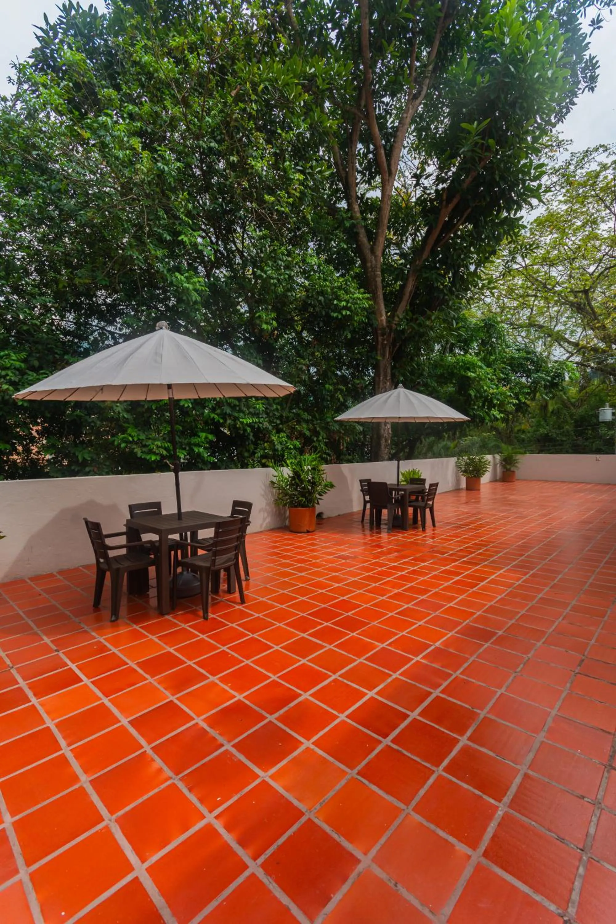 Solarium in Hotel Tropical San Jeronimo