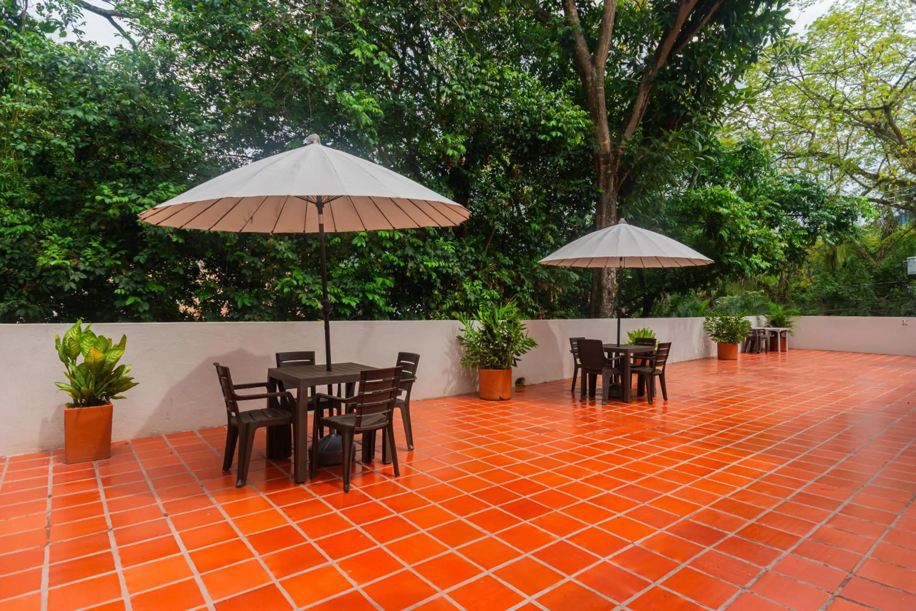 Solarium in Hotel Tropical San Jeronimo