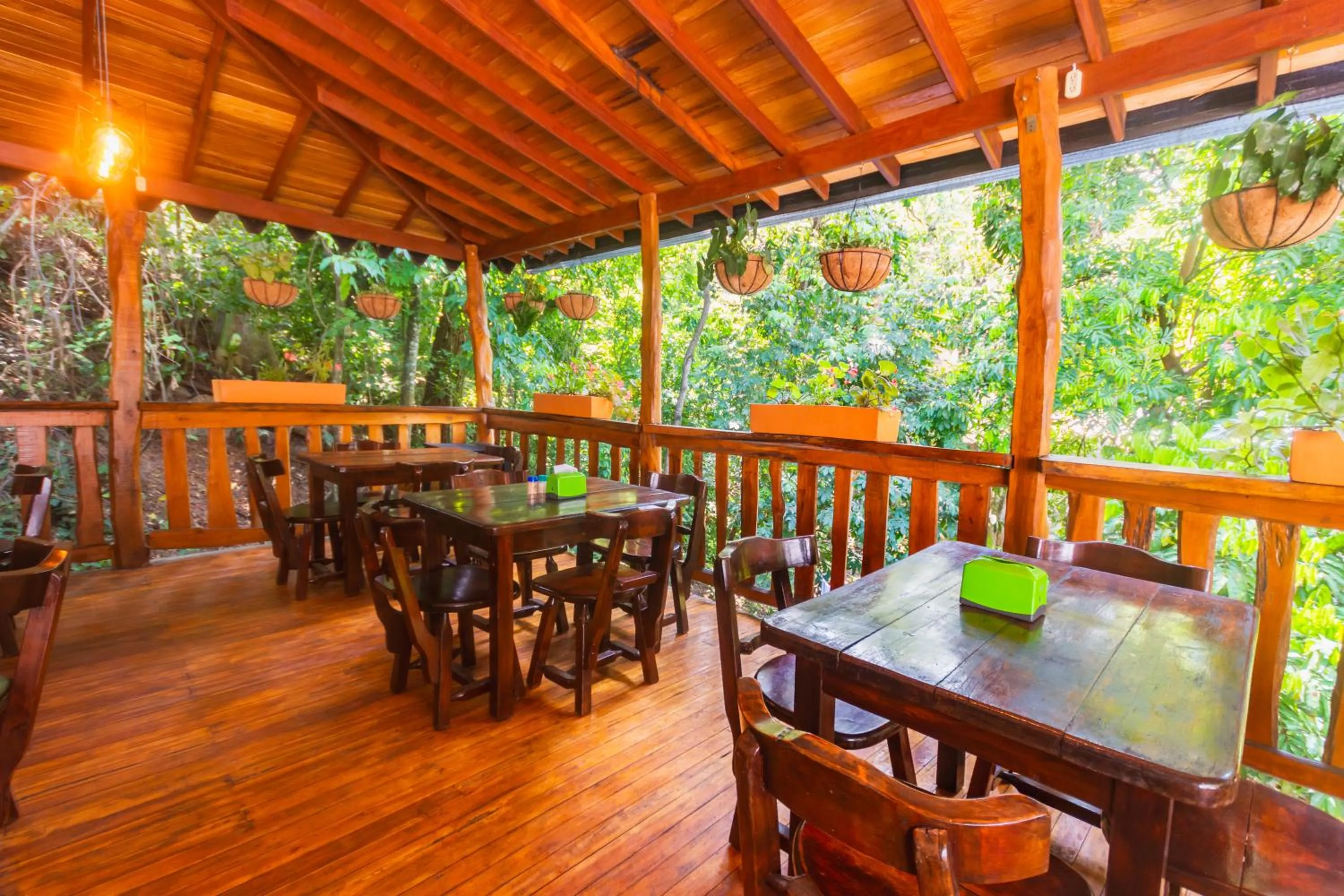 Restaurant/places to eat in Hotel Tropical San Jeronimo