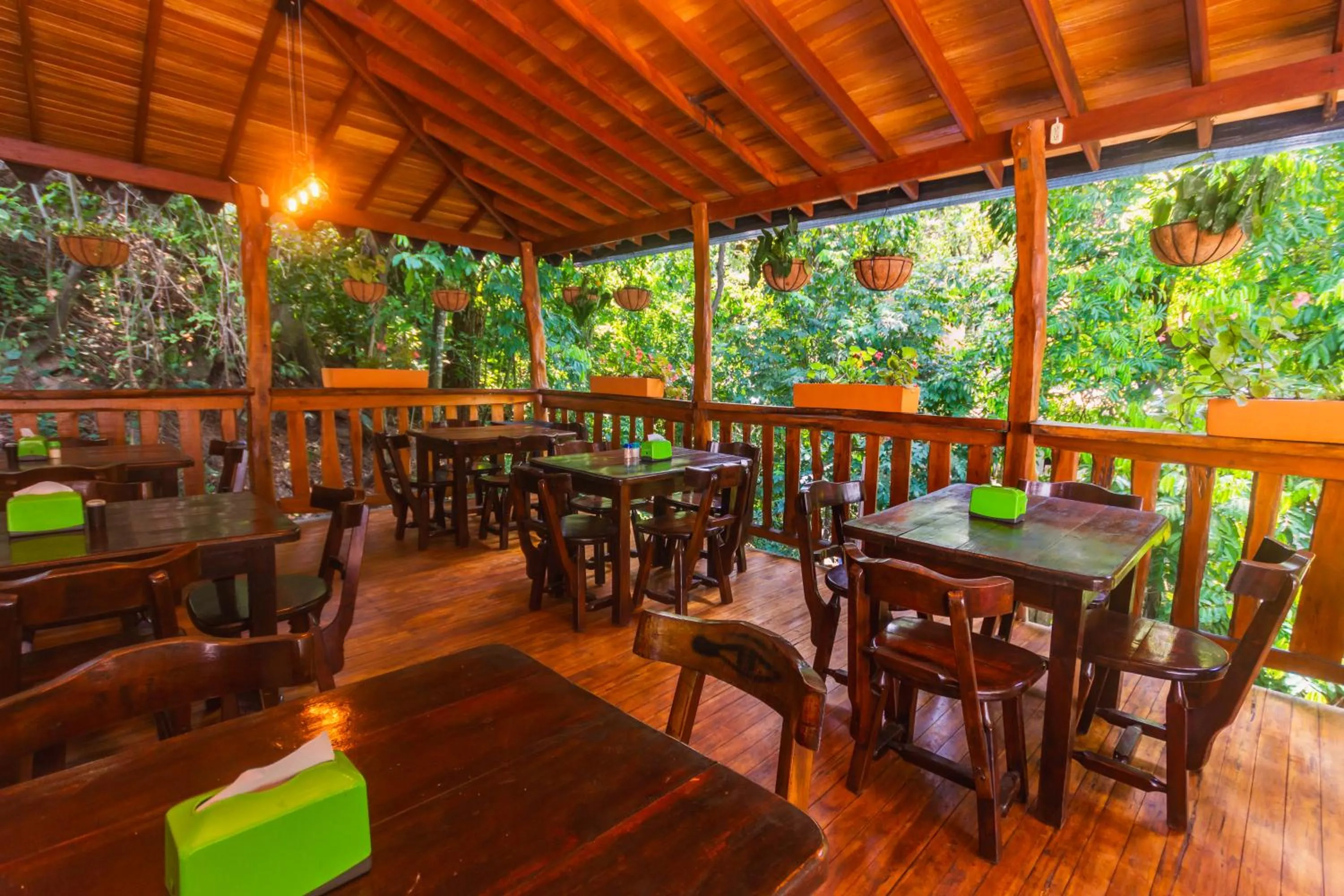 Restaurant/places to eat in Hotel Tropical San Jeronimo