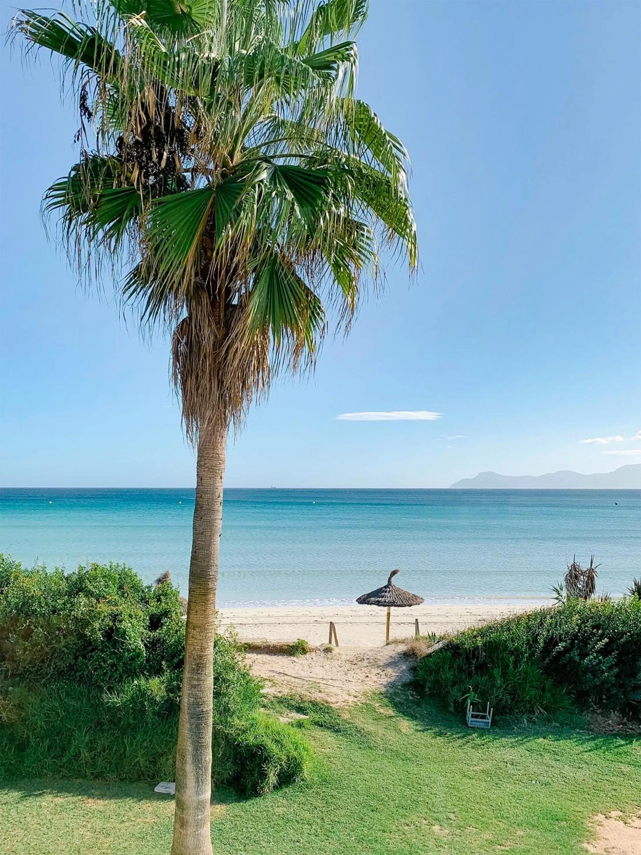 Natural landscape in Playa Esperanza Resort Affiliated by Meliá
