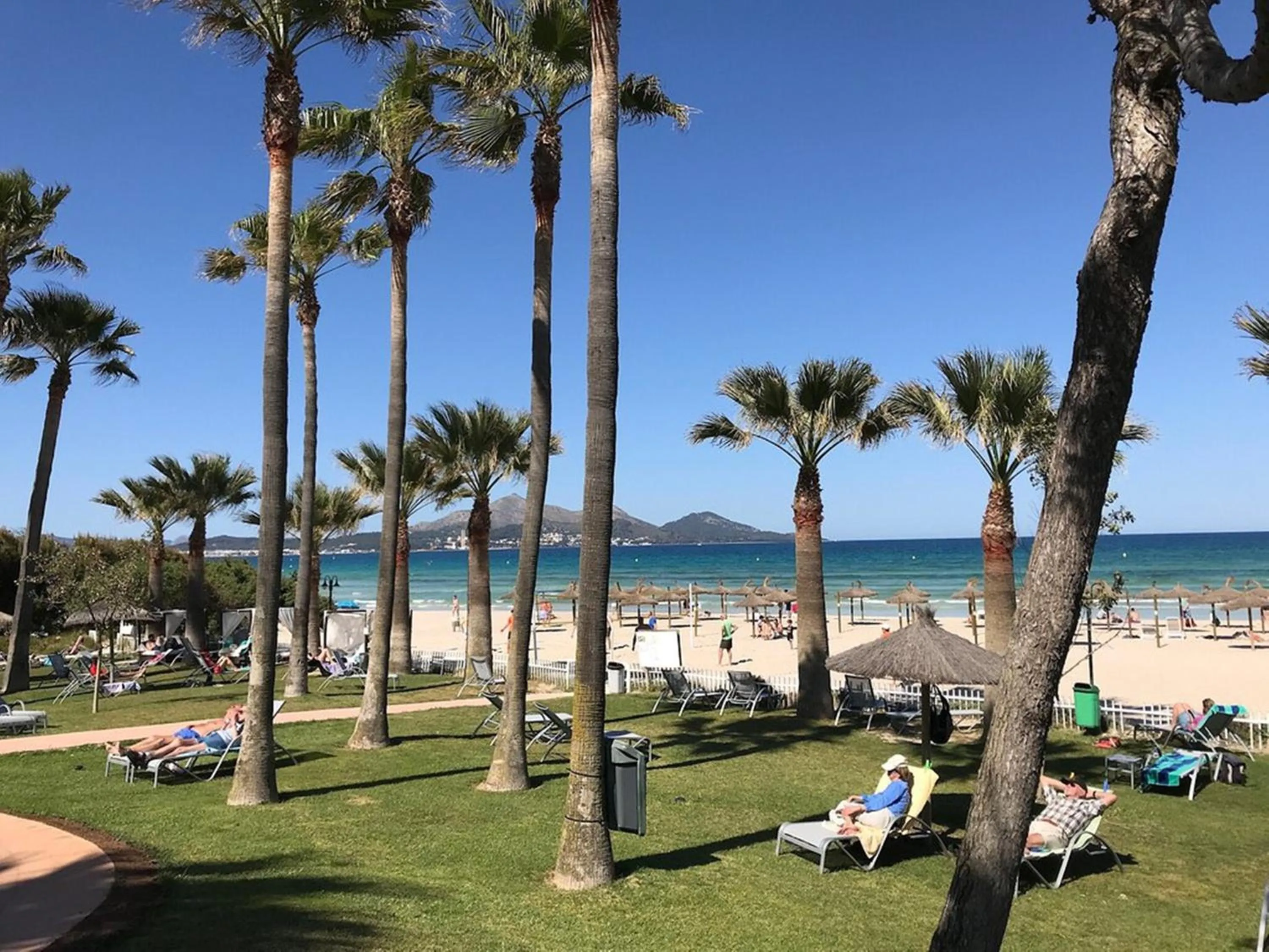 Garden in Playa Esperanza Resort Affiliated by Meliá