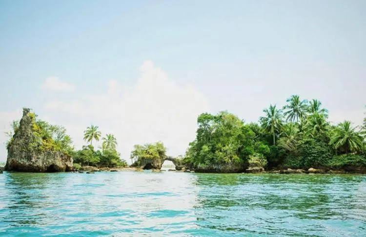 Natural landscape in Pousada Velas e Vento - Barra Grande, Taipu de Fora, Maraú