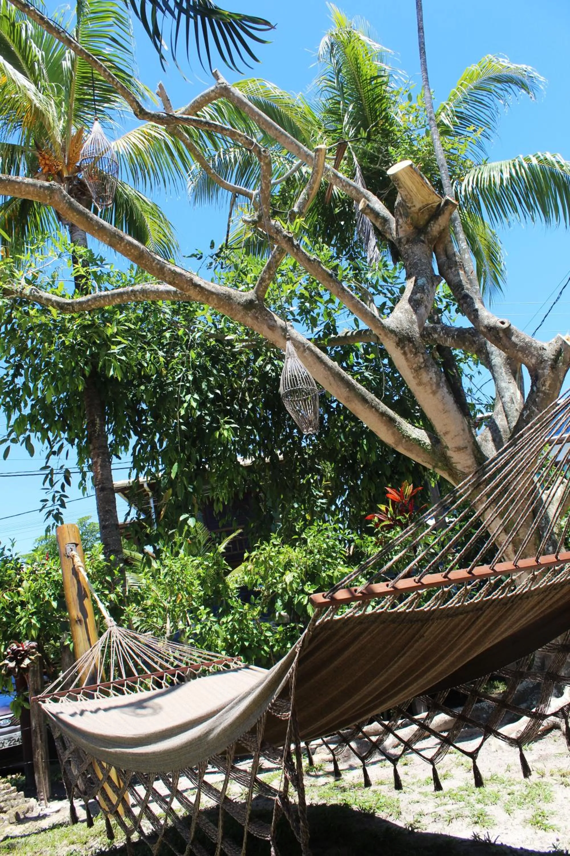 Garden view in Pousada Velas e Vento - Barra Grande, Taipu de Fora, Maraú