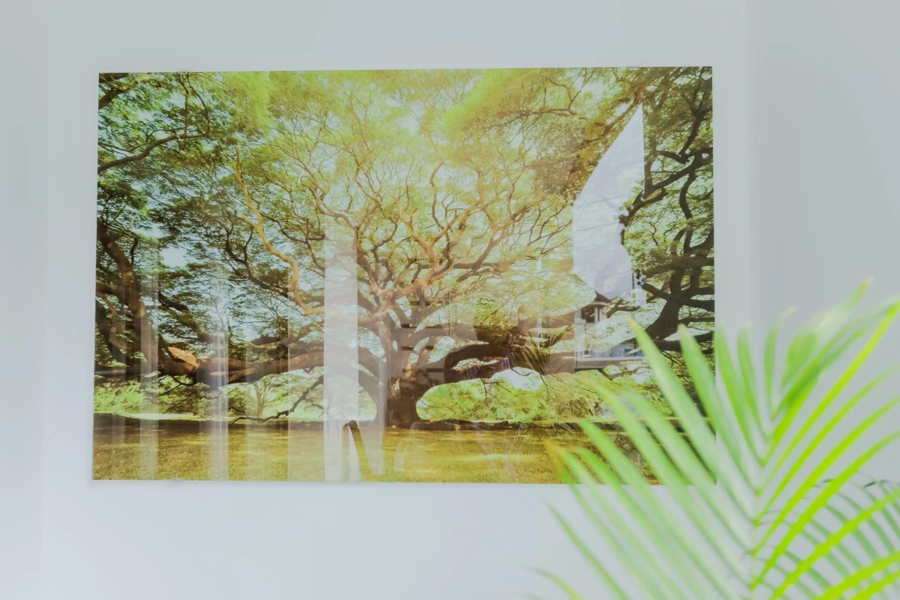 Decorative detail in Accra Luxury Apartments at Embassy Gardens