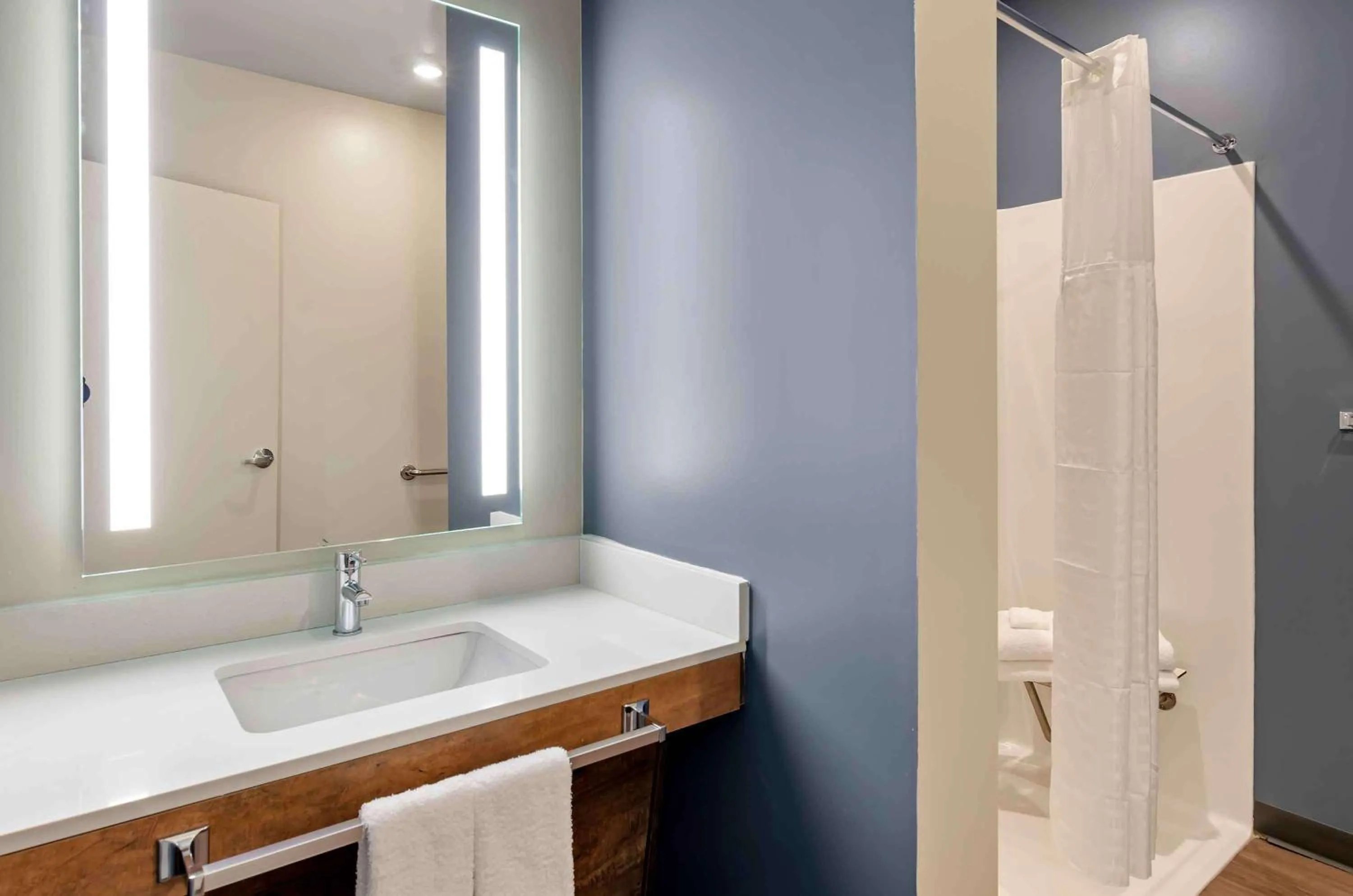 Bathroom in Extended Stay America Premier Suites - Harrisonburg