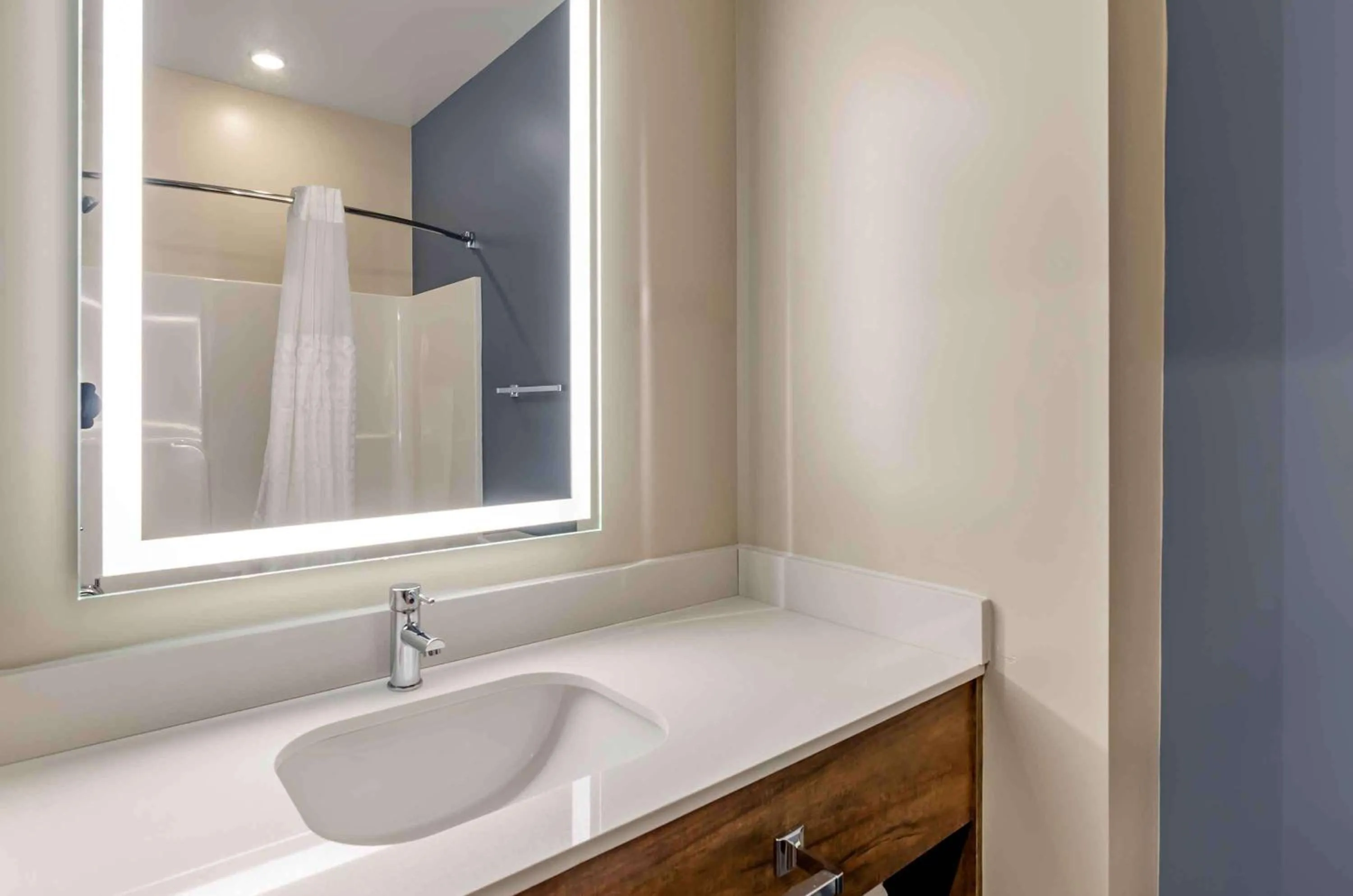 Bathroom in Extended Stay America Premier Suites - Harrisonburg