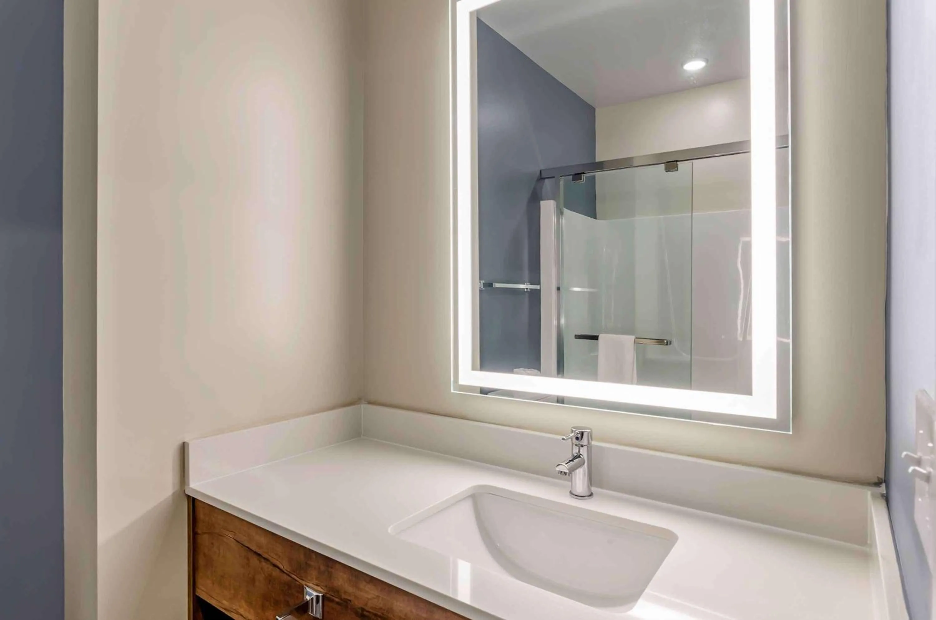 Bathroom in Extended Stay America Premier Suites - Harrisonburg