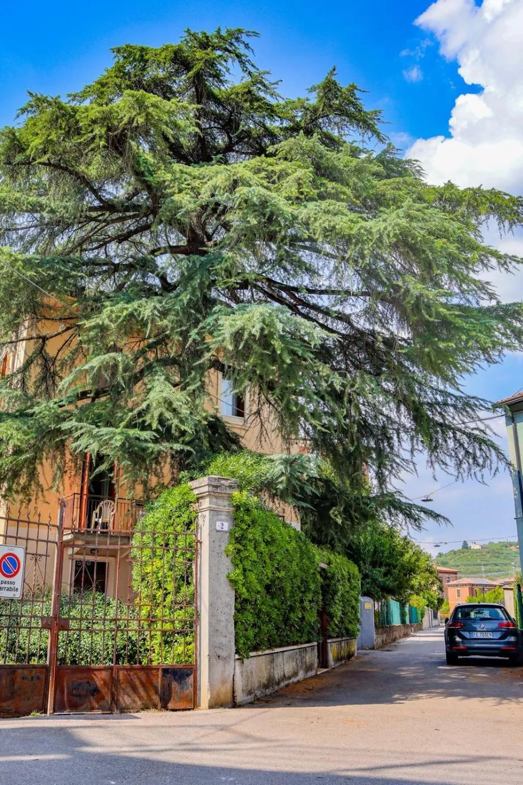 Other in Mario&Elena House