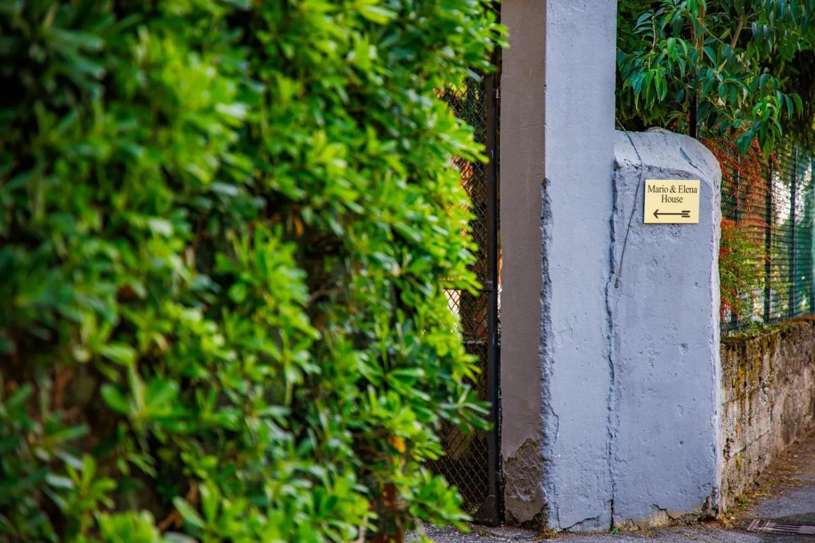 Other in Mario&Elena House