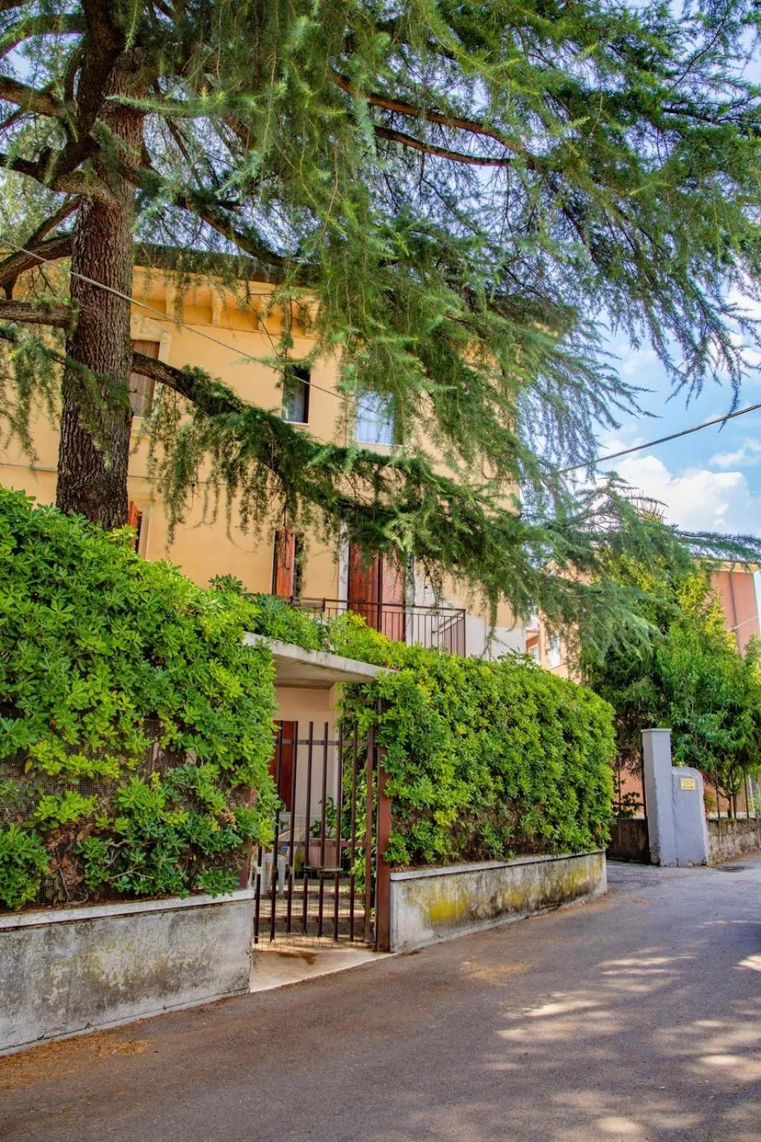 Other in Mario&Elena House