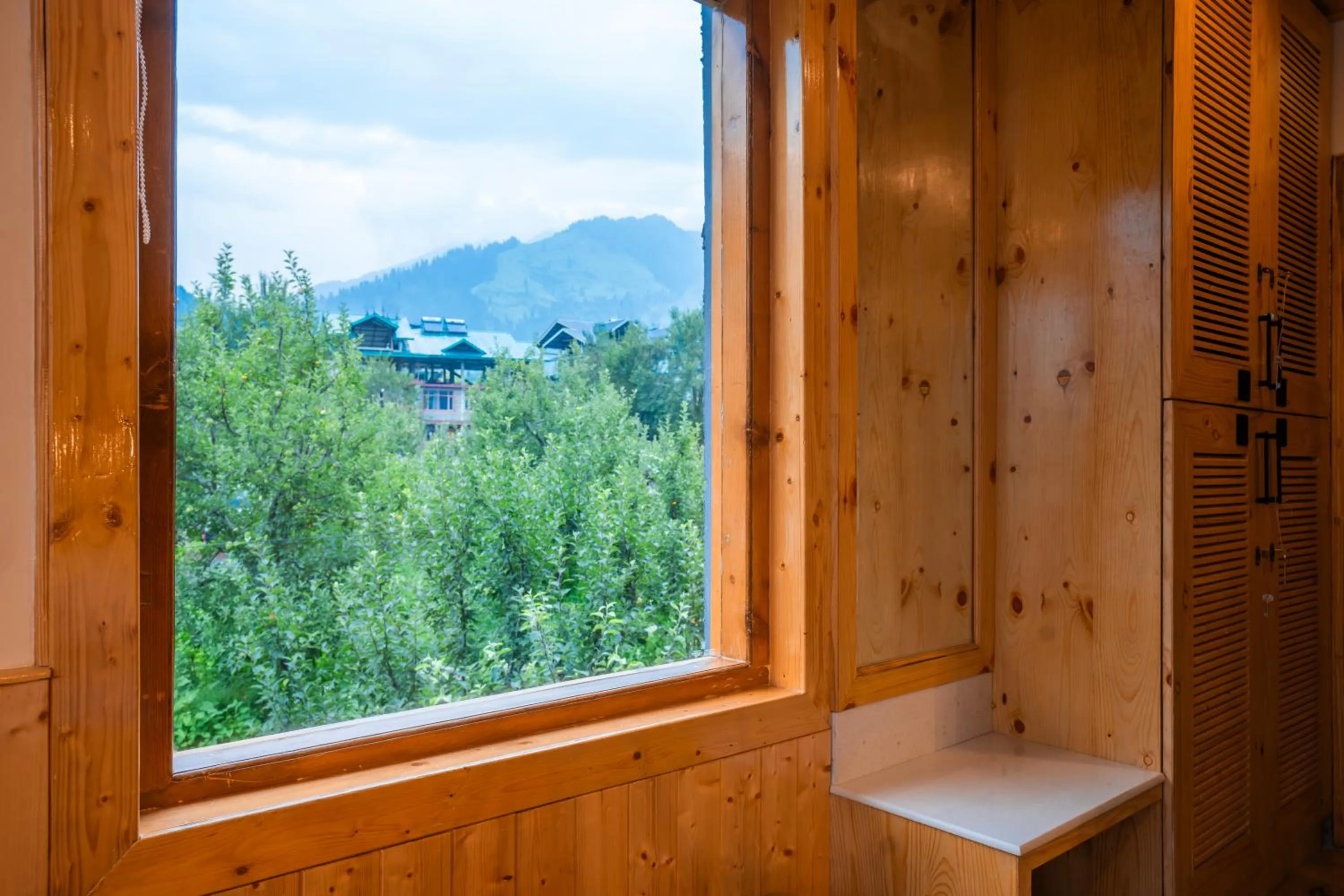 Natural landscape in Olgah Manali