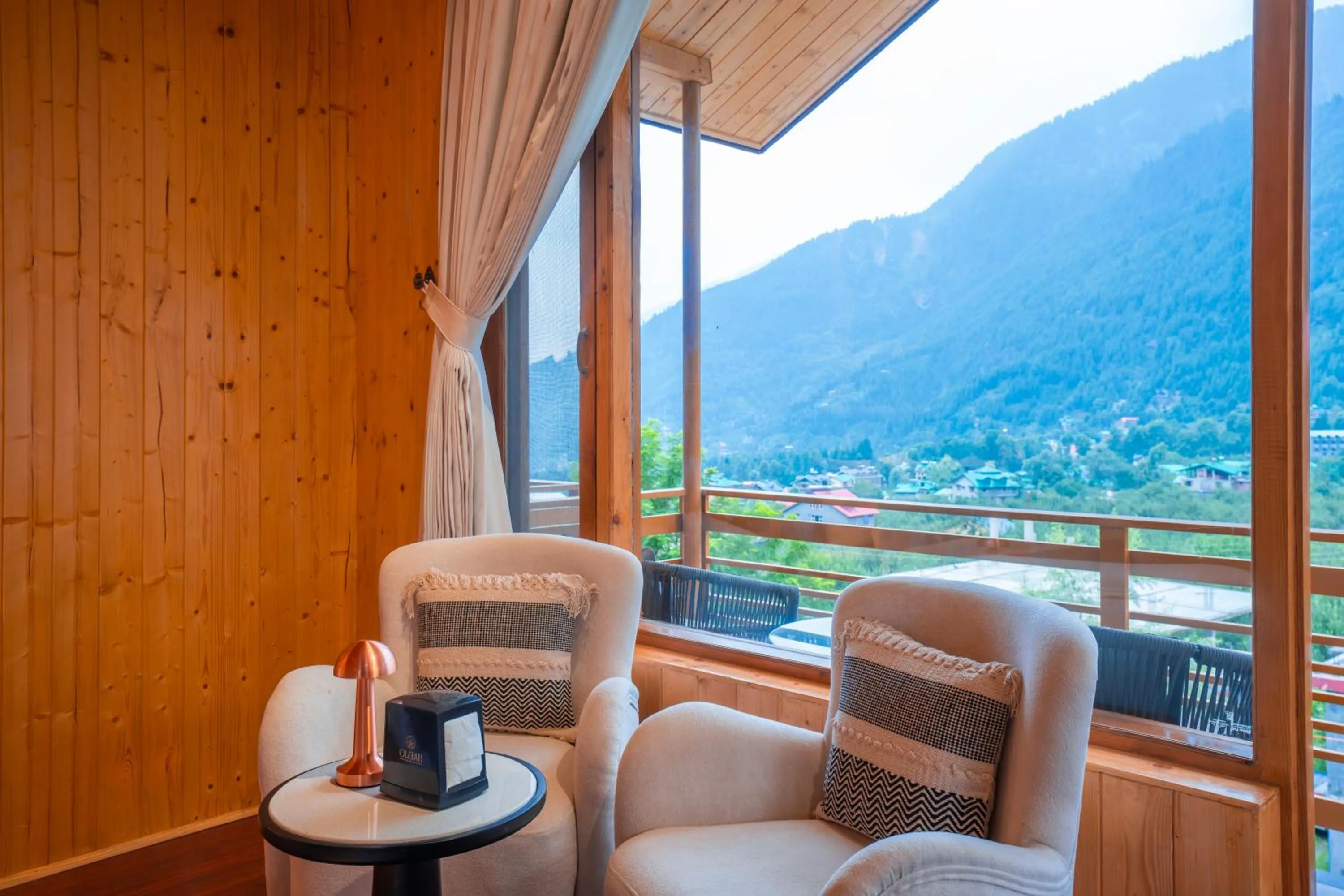 Mountain view in Olgah Manali